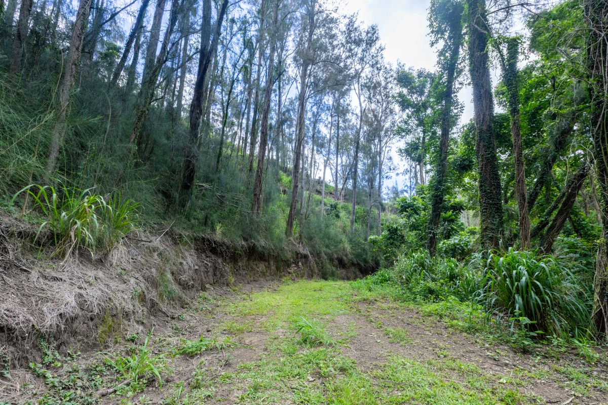 54-1749 Paipo Kane Rd Property Photo 14