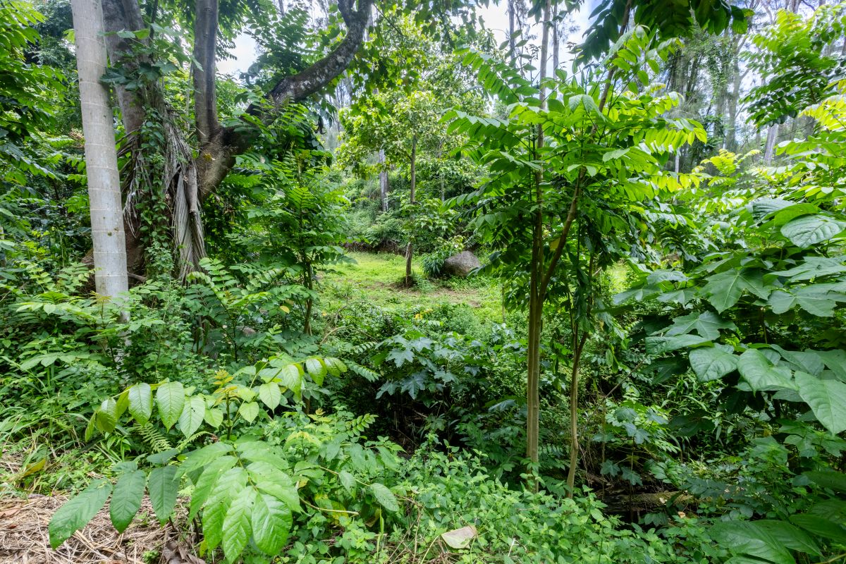 54-1749 Paipo Kane Rd Property Photo 16