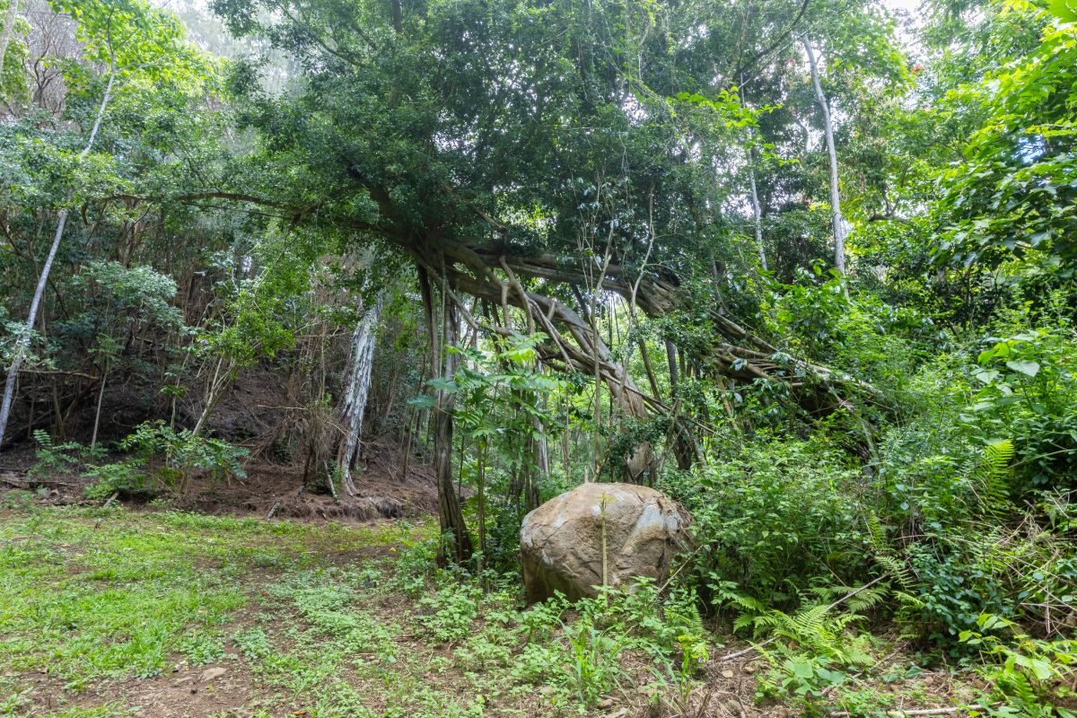 54-1749 Paipo Kane Rd Property Photo 17