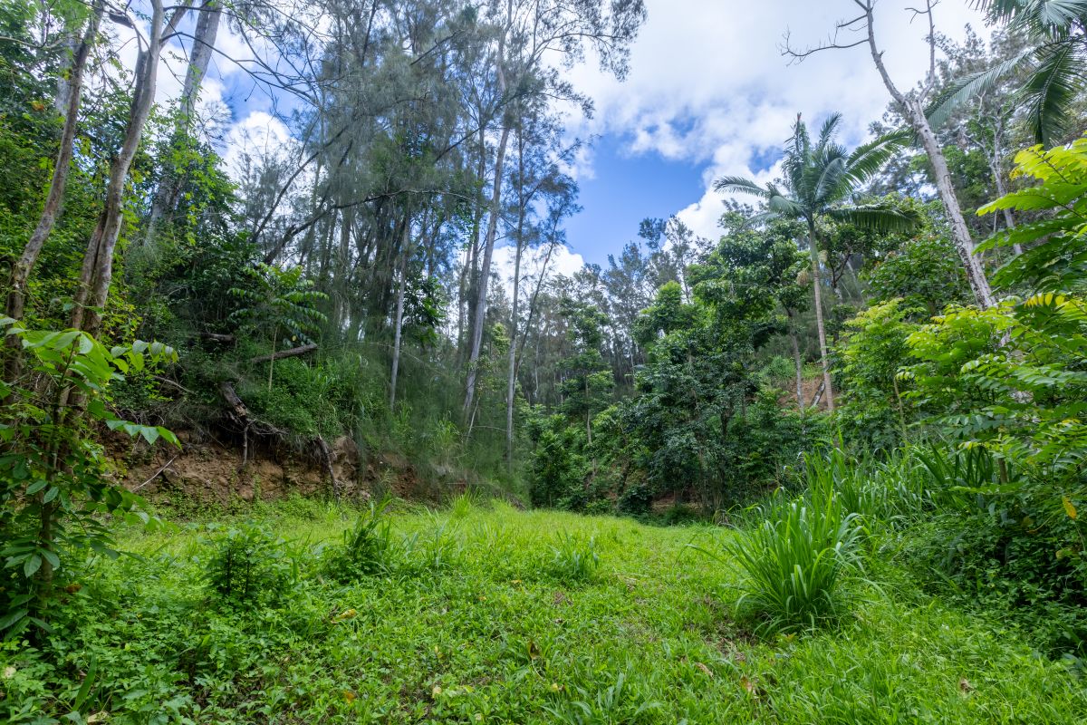 54-1749 Paipo Kane Rd Property Photo 19