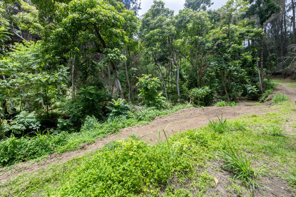 54-1749 Paipo Kane Rd Property Photo 20