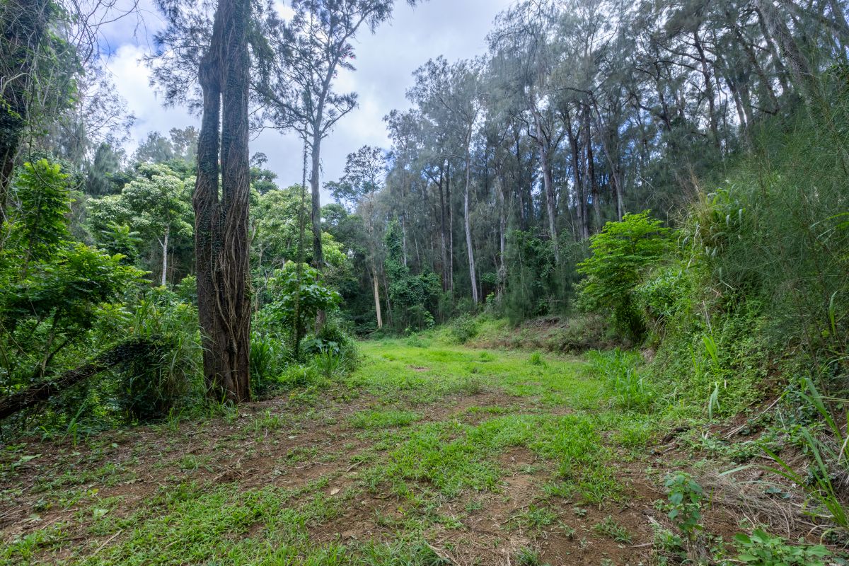 54-1749 Paipo Kane Rd Property Photo 21