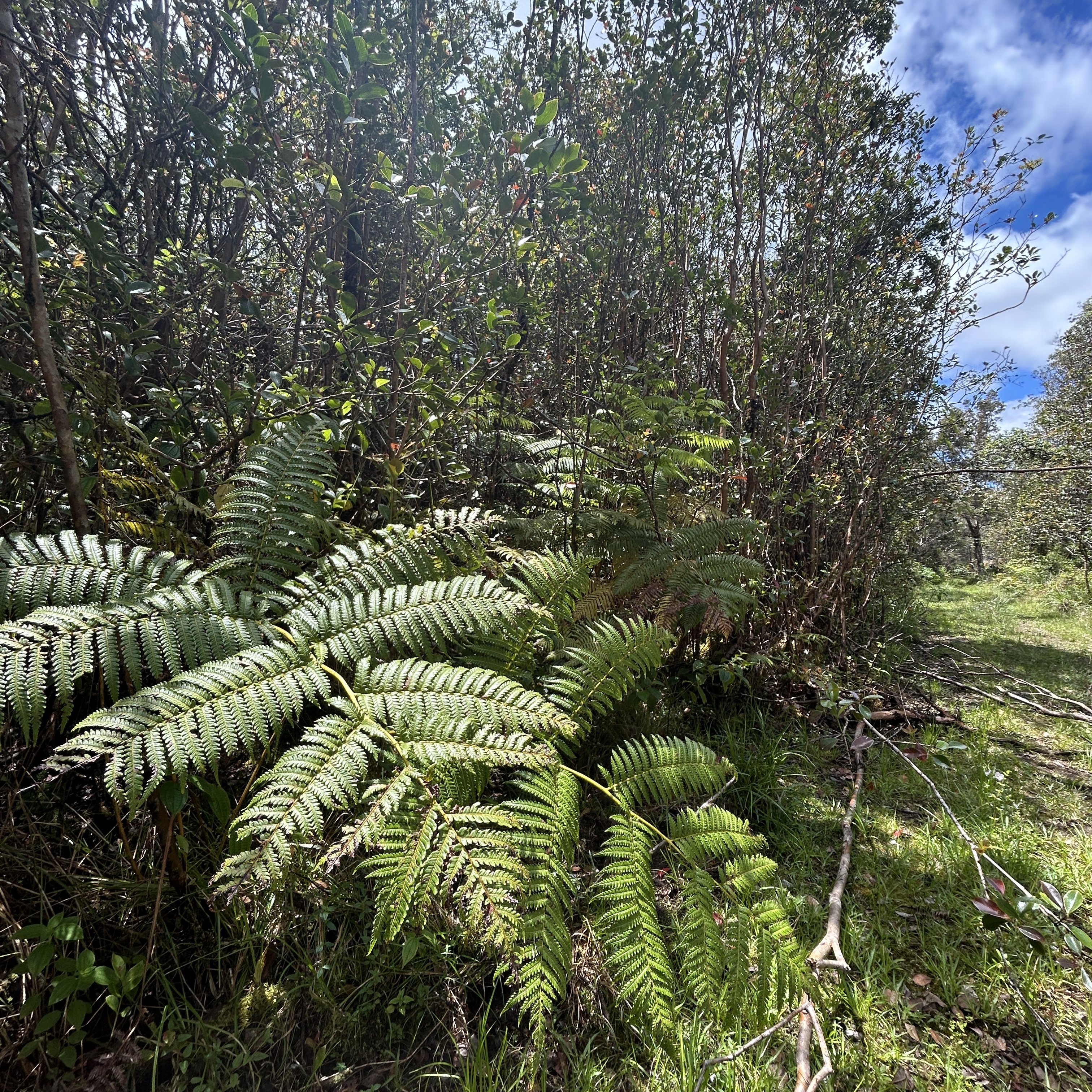 Road 4 Property Photo 1