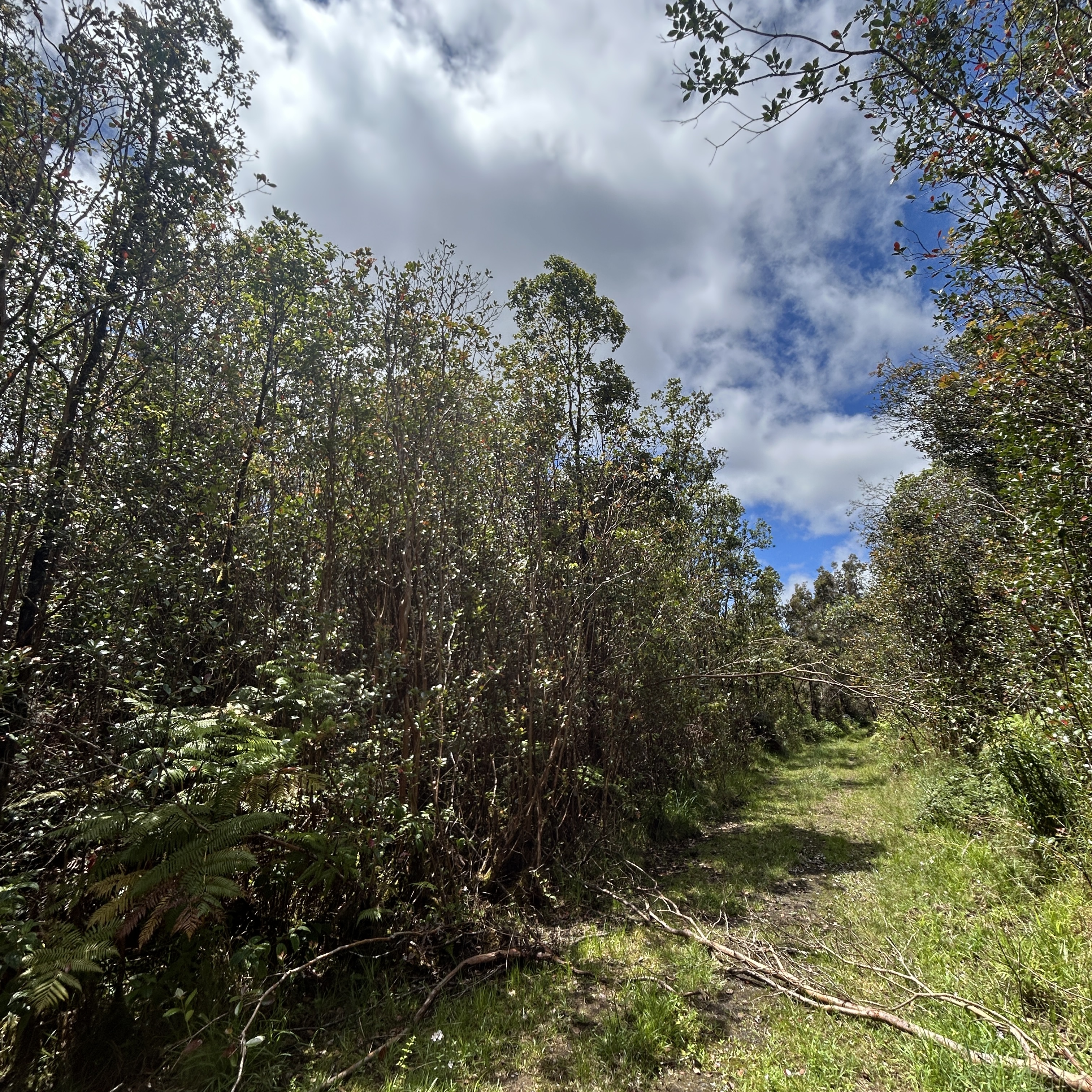 Road 4 Property Photo 2