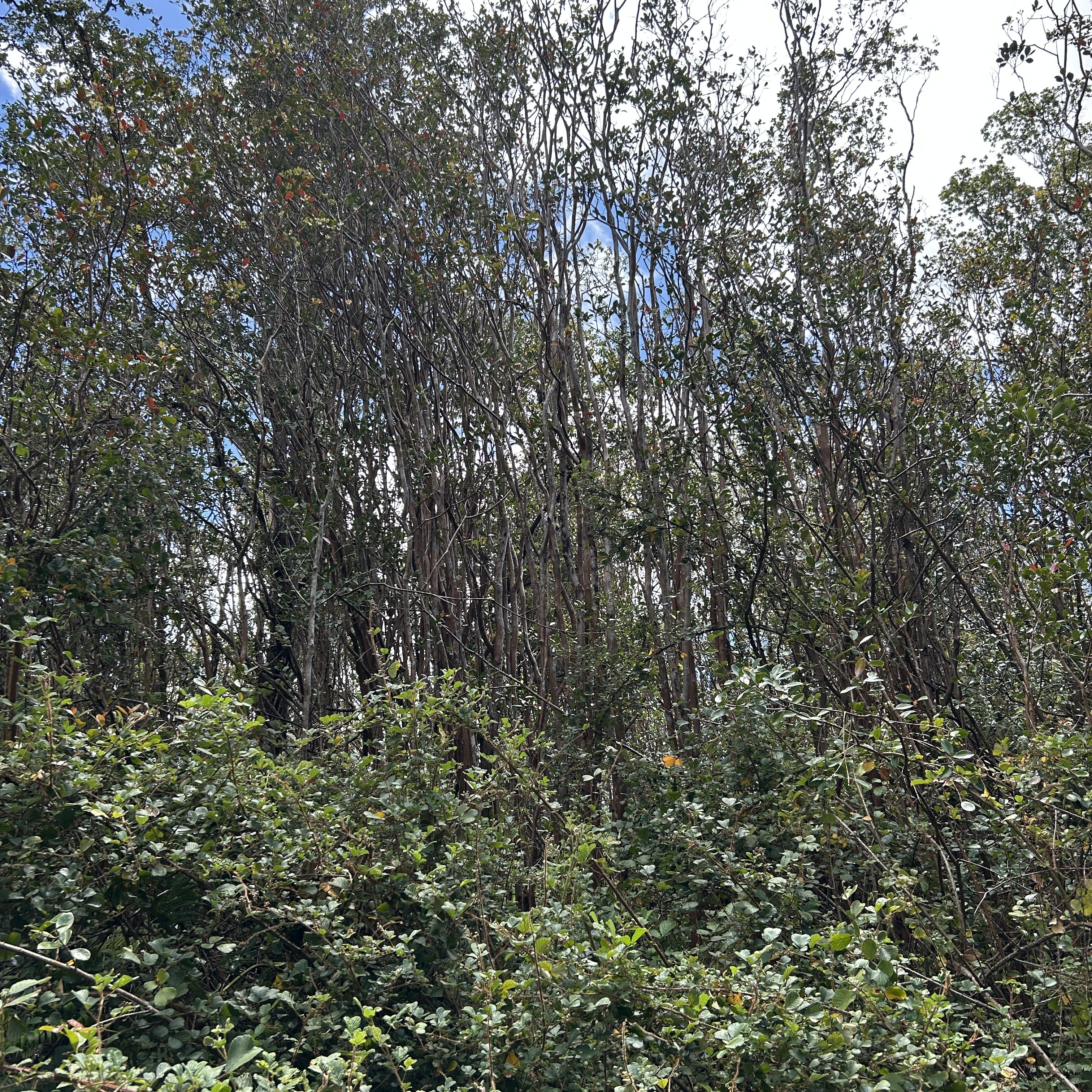 Road 4 Property Photo 5