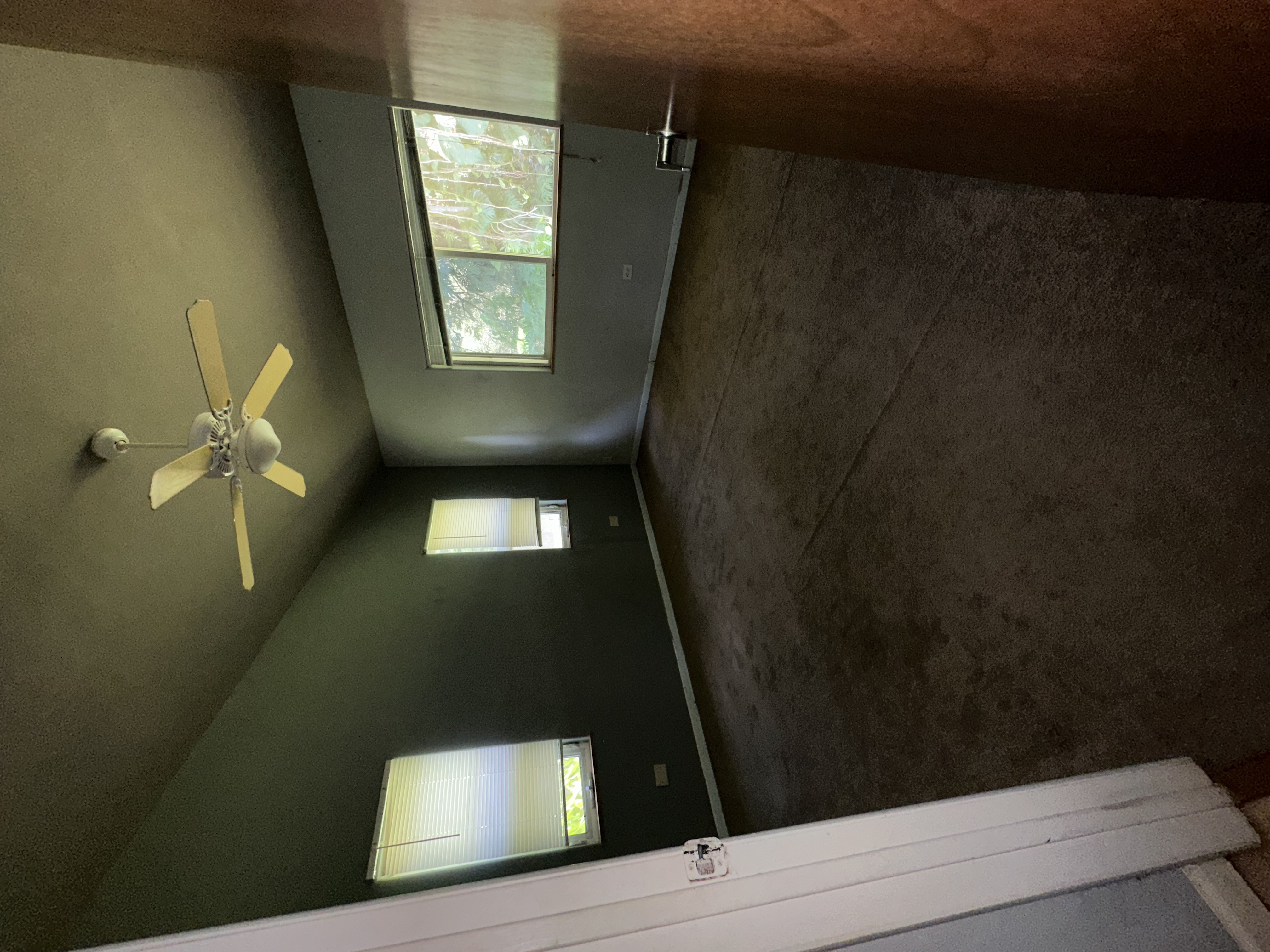 107 Opio Rd Property Photo 8