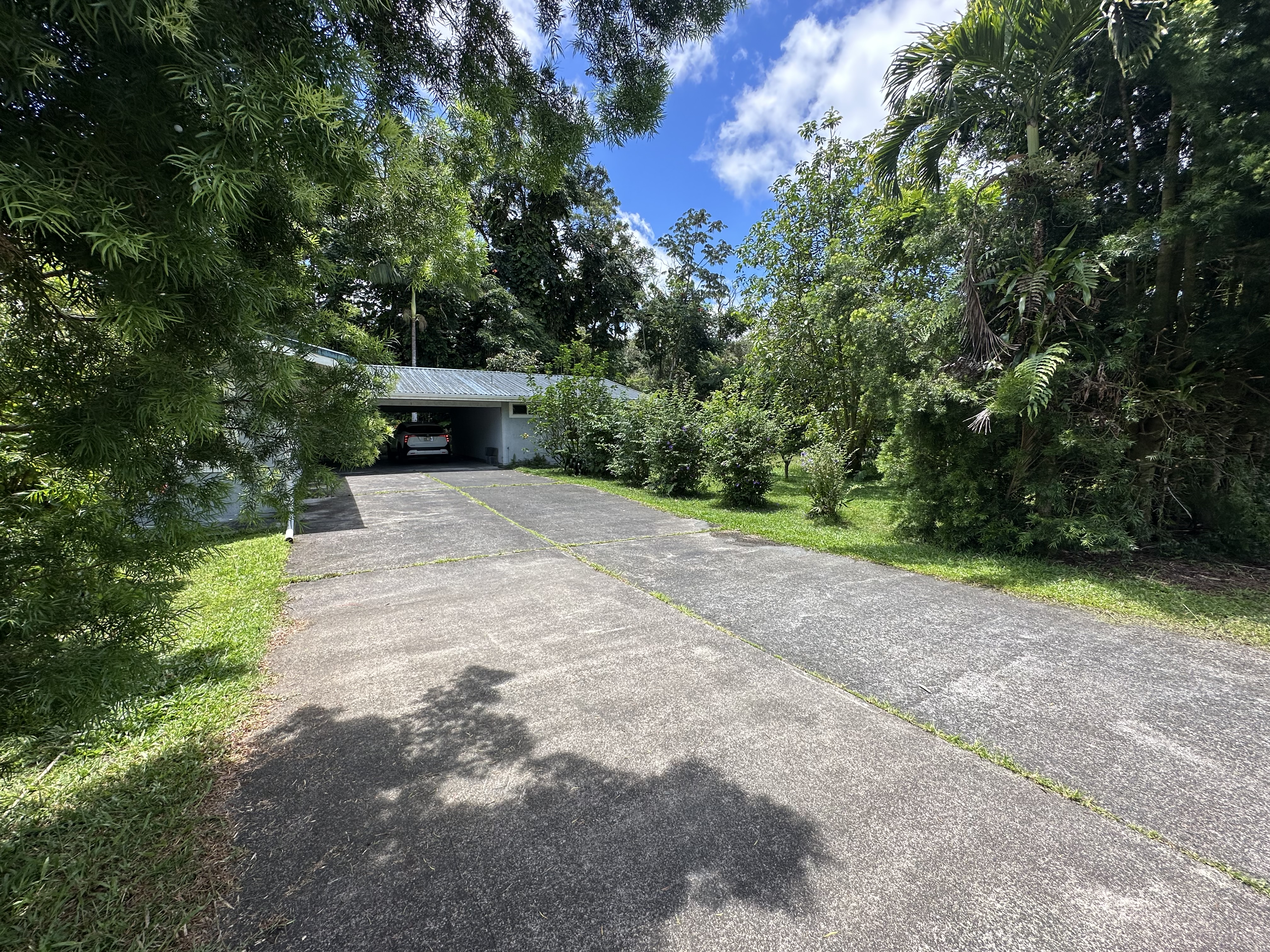 107 Opio Rd Property Photo 16