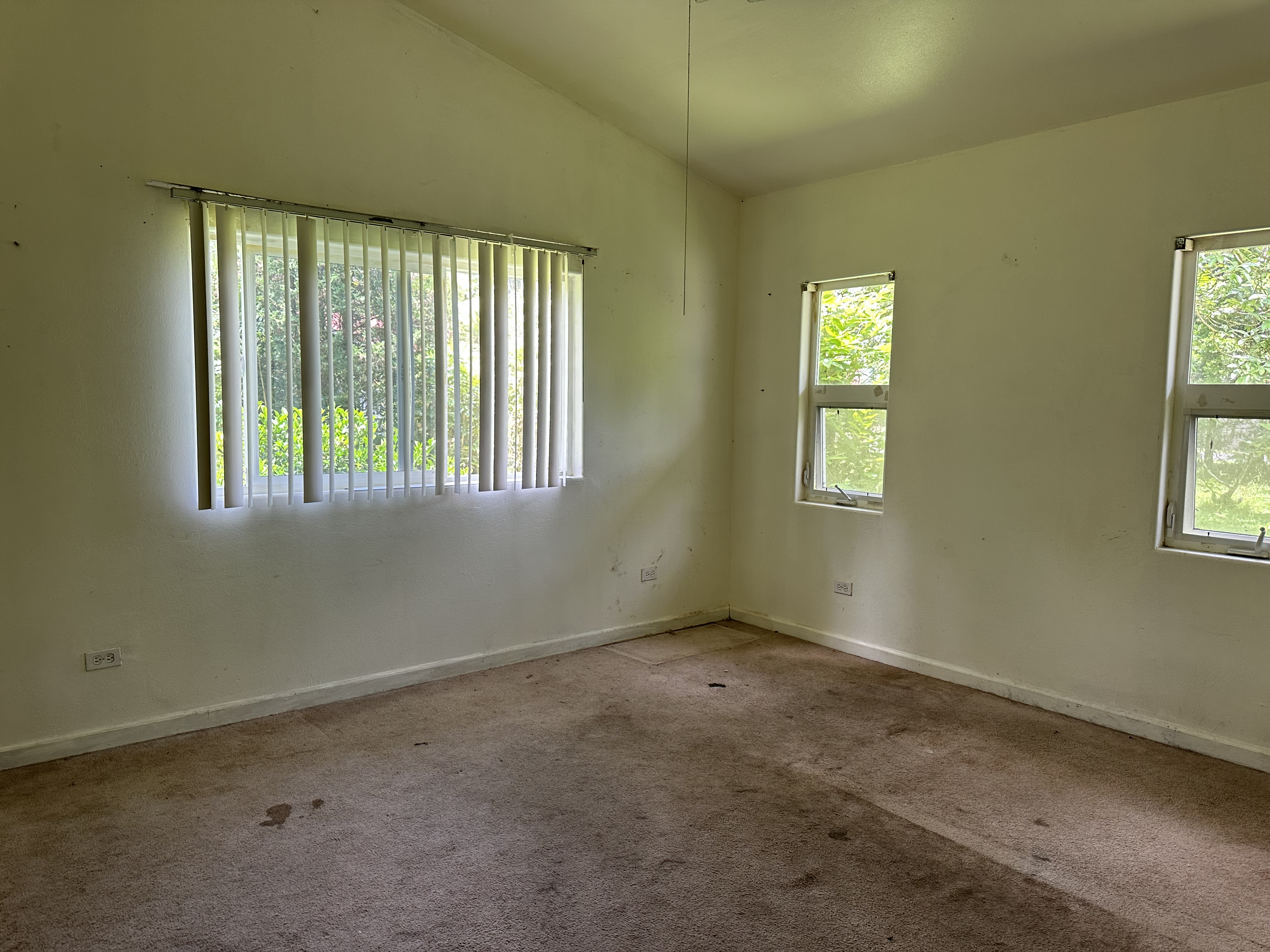 107 Opio Rd Property Photo 19