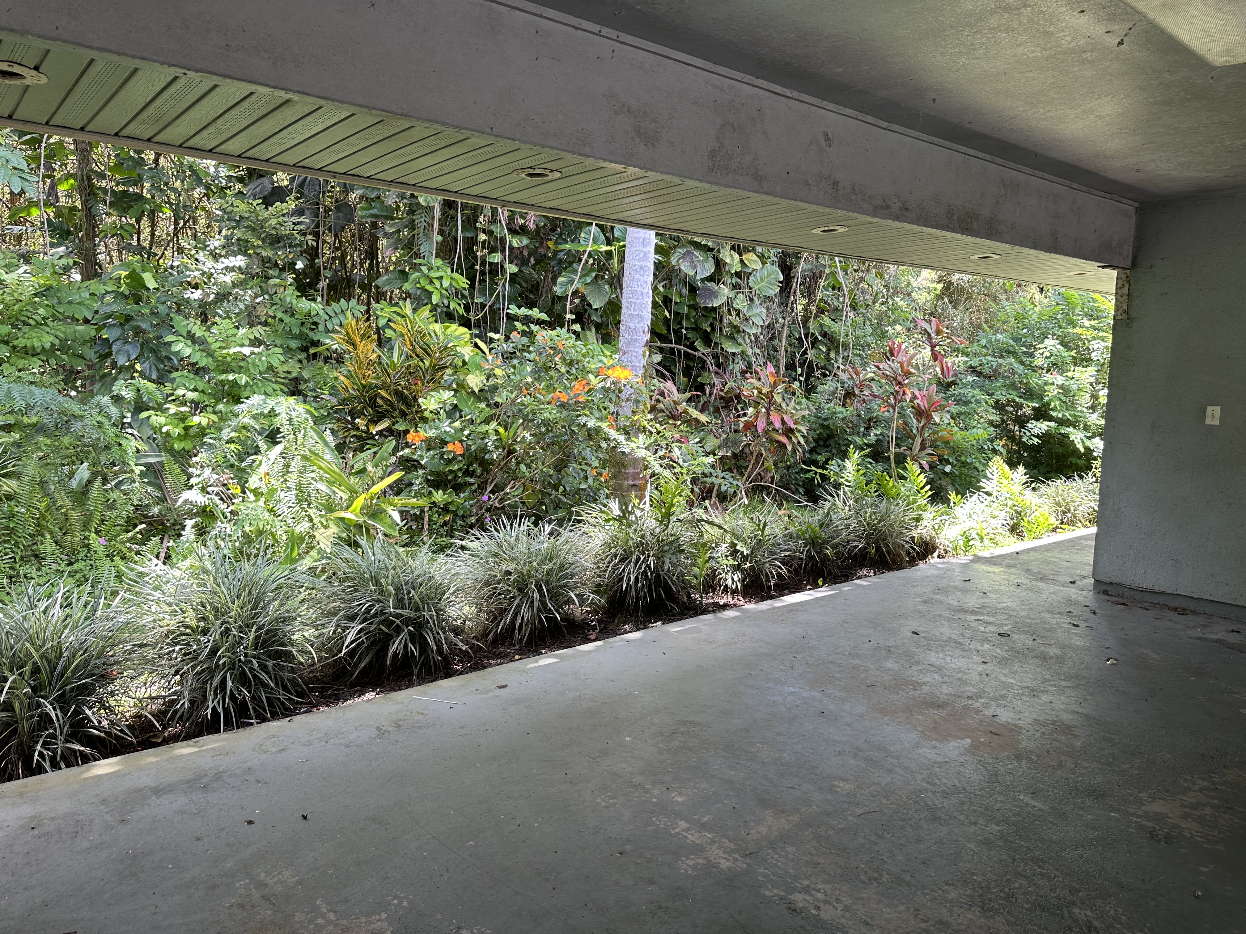 107 Opio Rd Property Photo 22