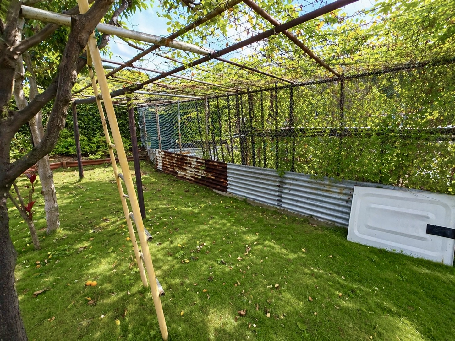 96-2947 Paauau St Property Photo 23