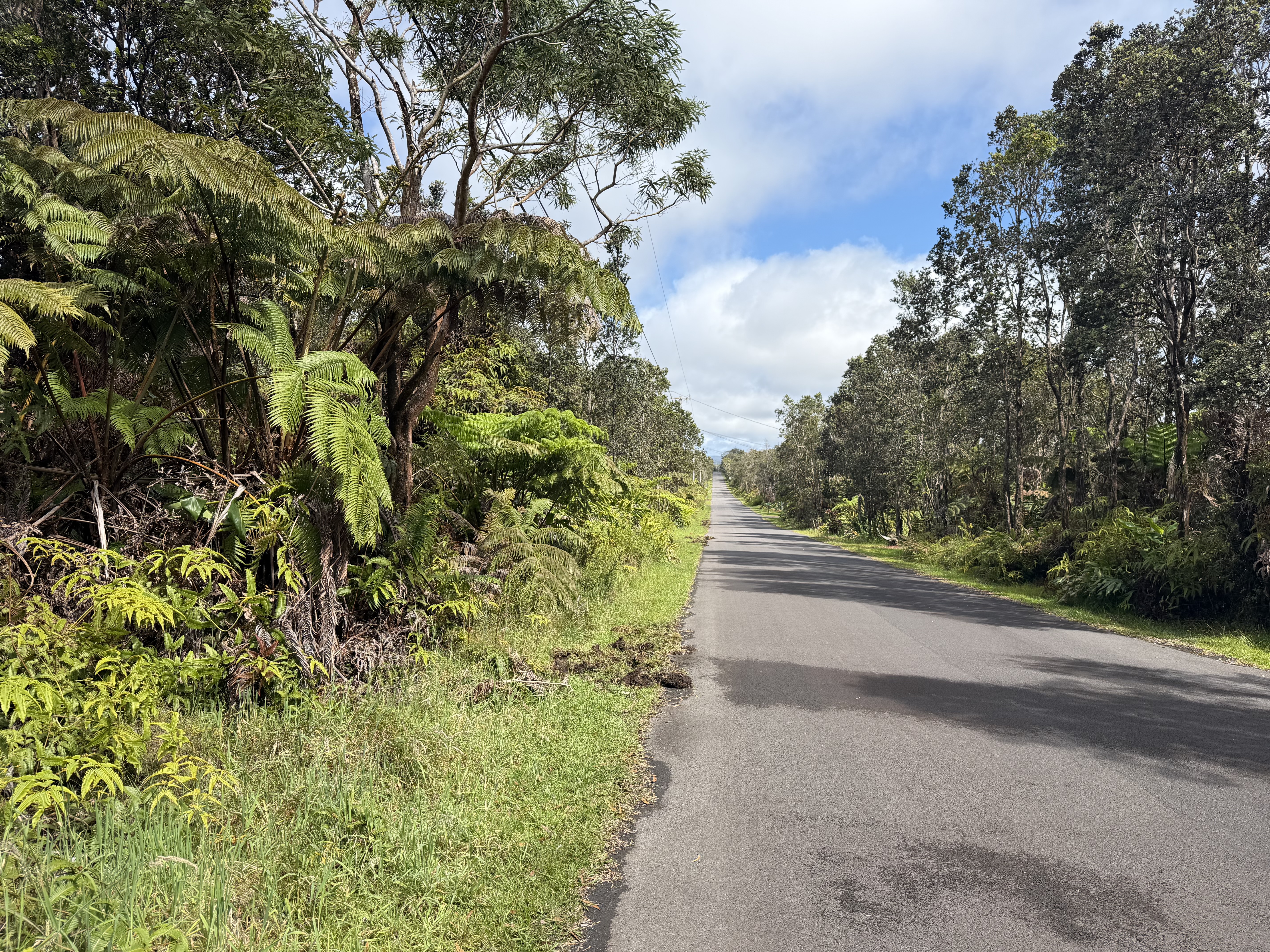 Nahelenani St Property Photo 1
