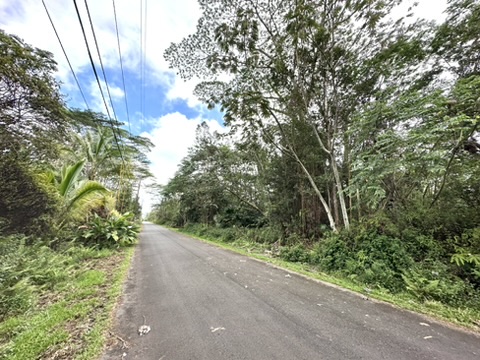 Kupono St Property Photo 1