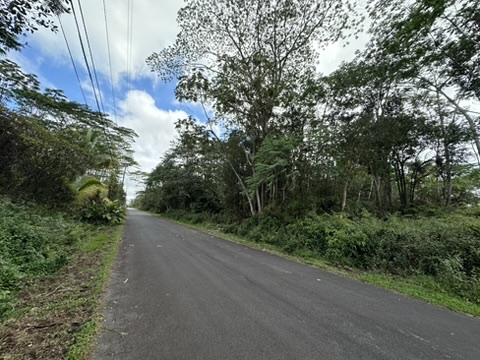 Kupono St Property Photo 3