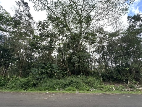 Kupono St Property Photo 4