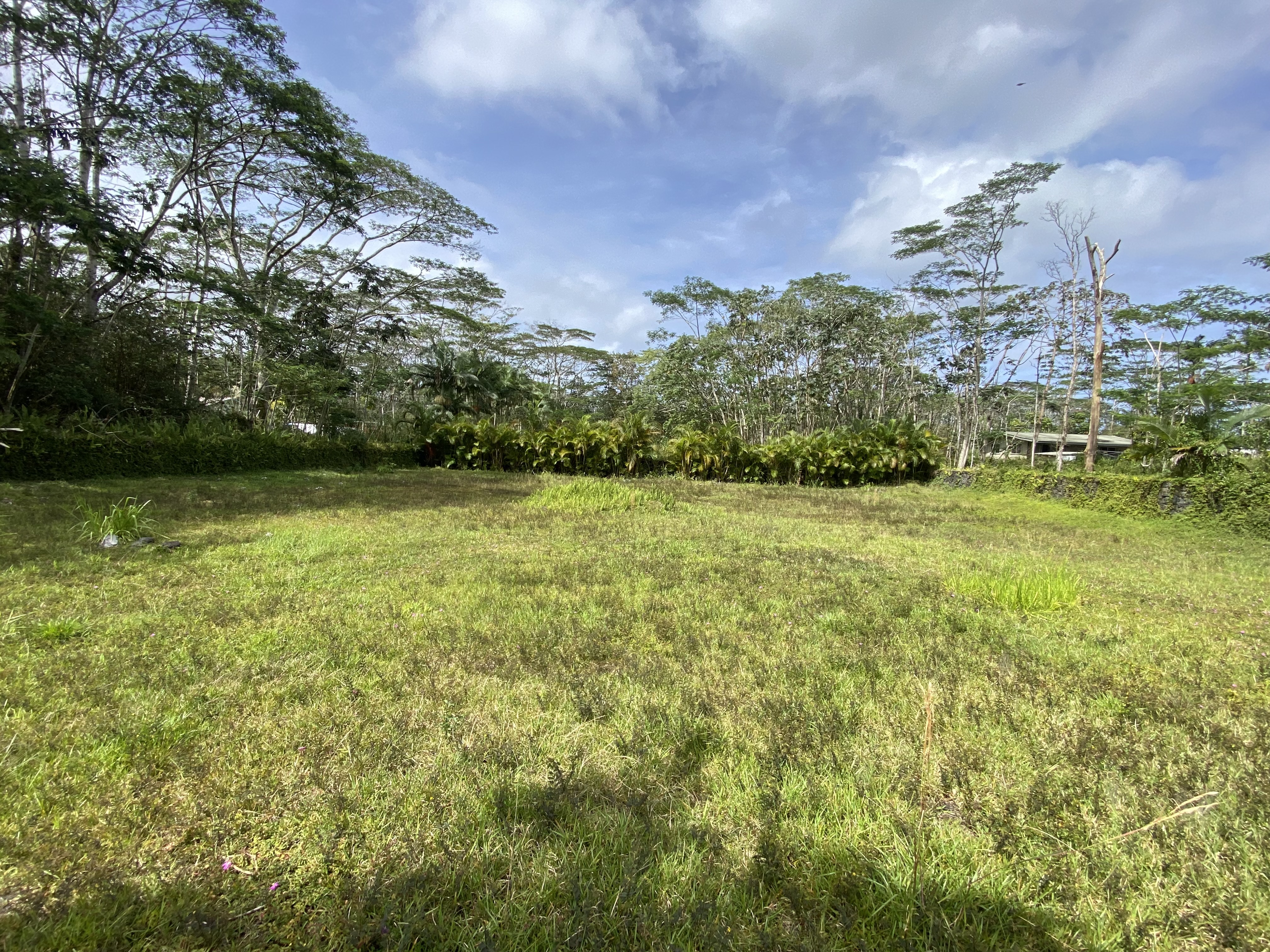 14-3379 Paradise Rd Property Photo 5