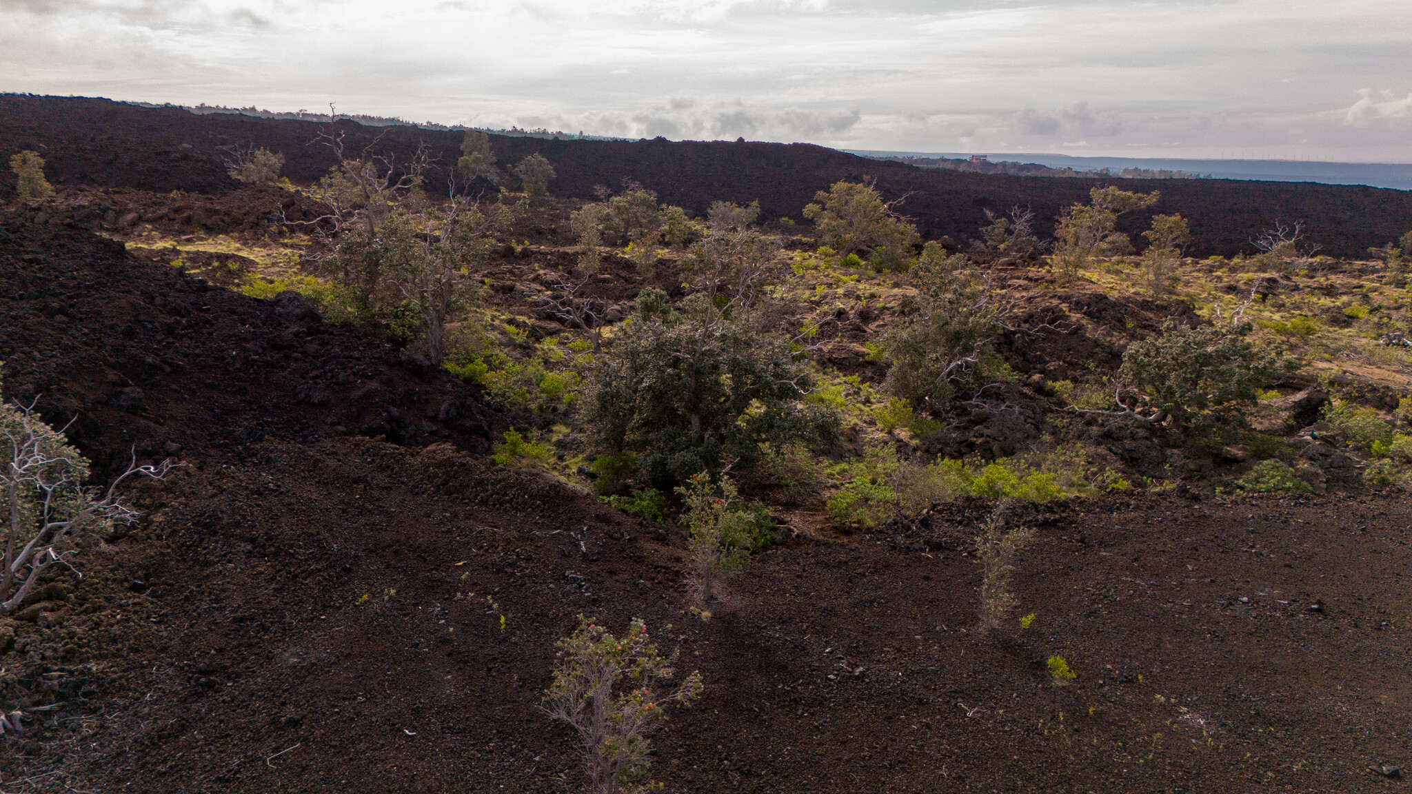 Kona Kai Blvd Property Photo 1