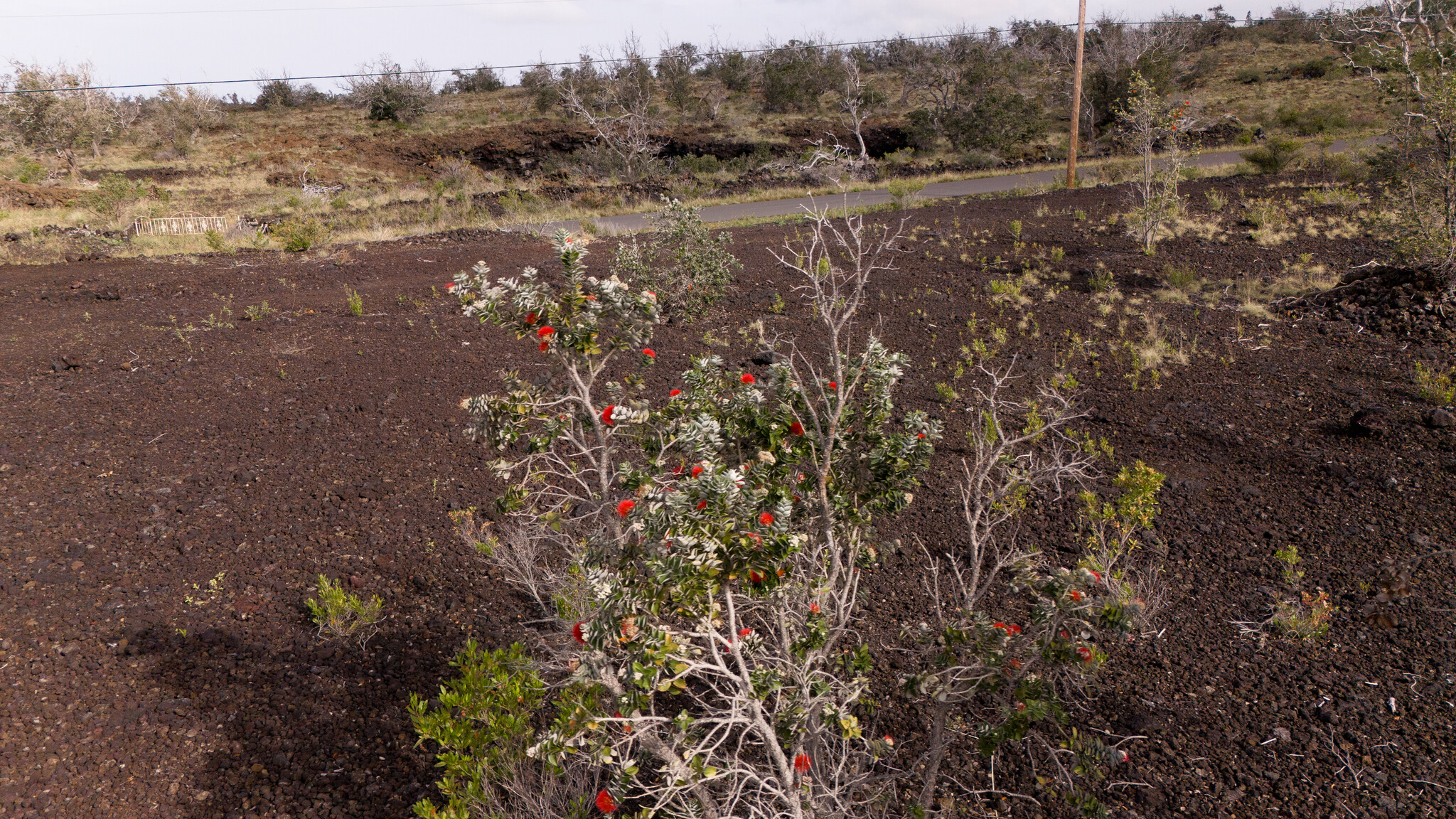 Kona Kai Blvd Property Photo 5