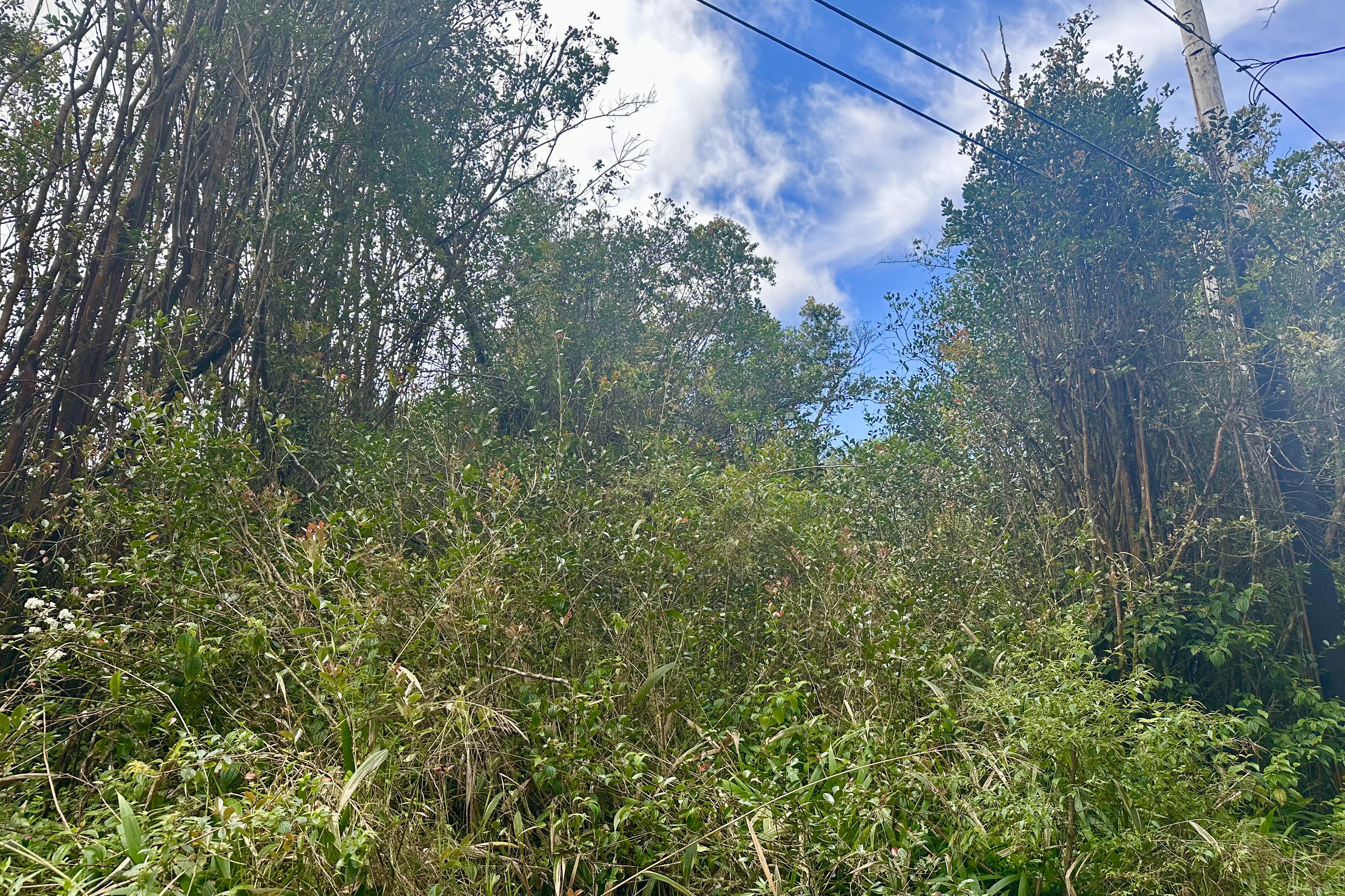 Maunalani Tract Rd Property Photo 2