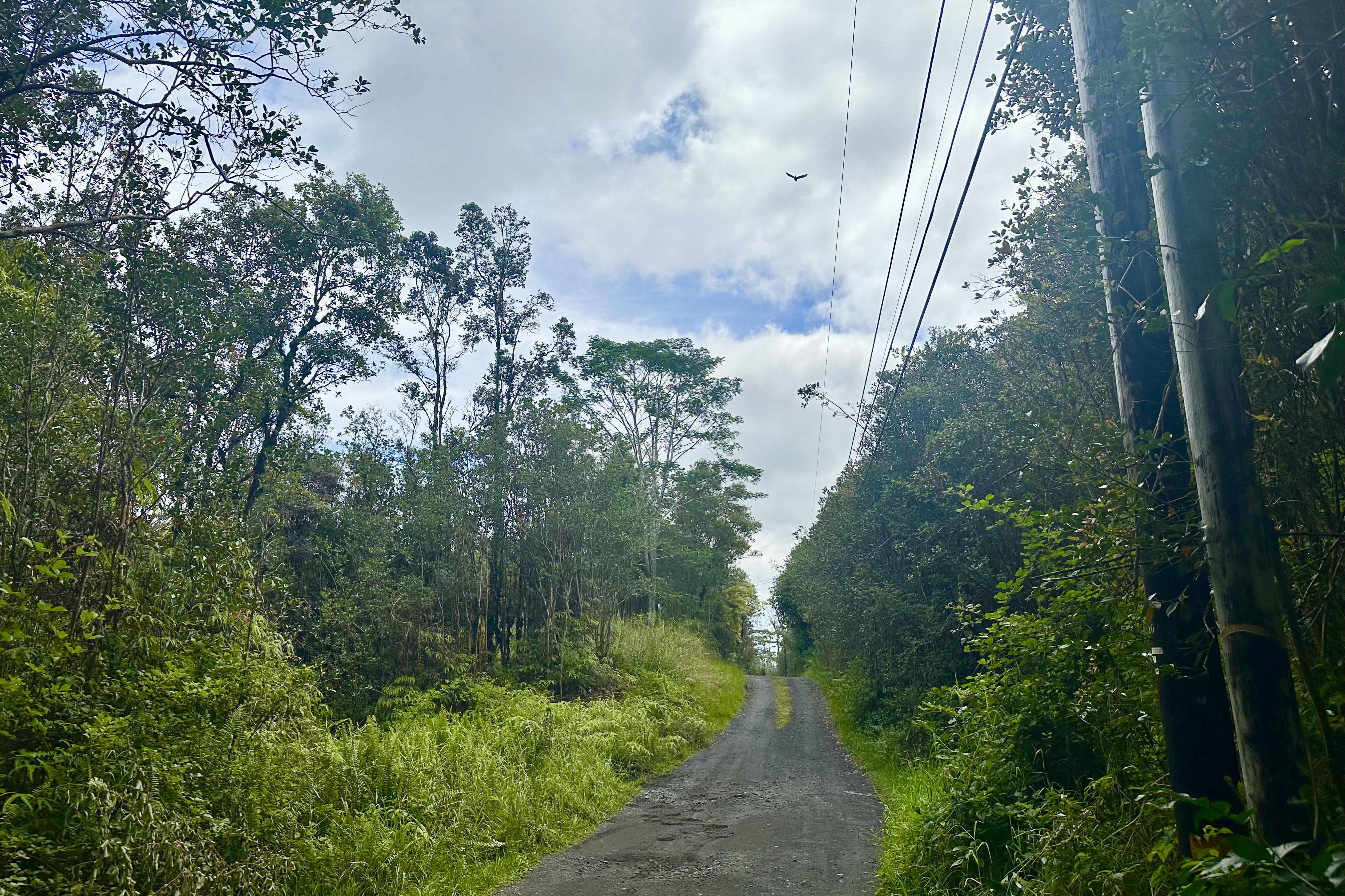 Maunalani Tract Rd Property Photo 3
