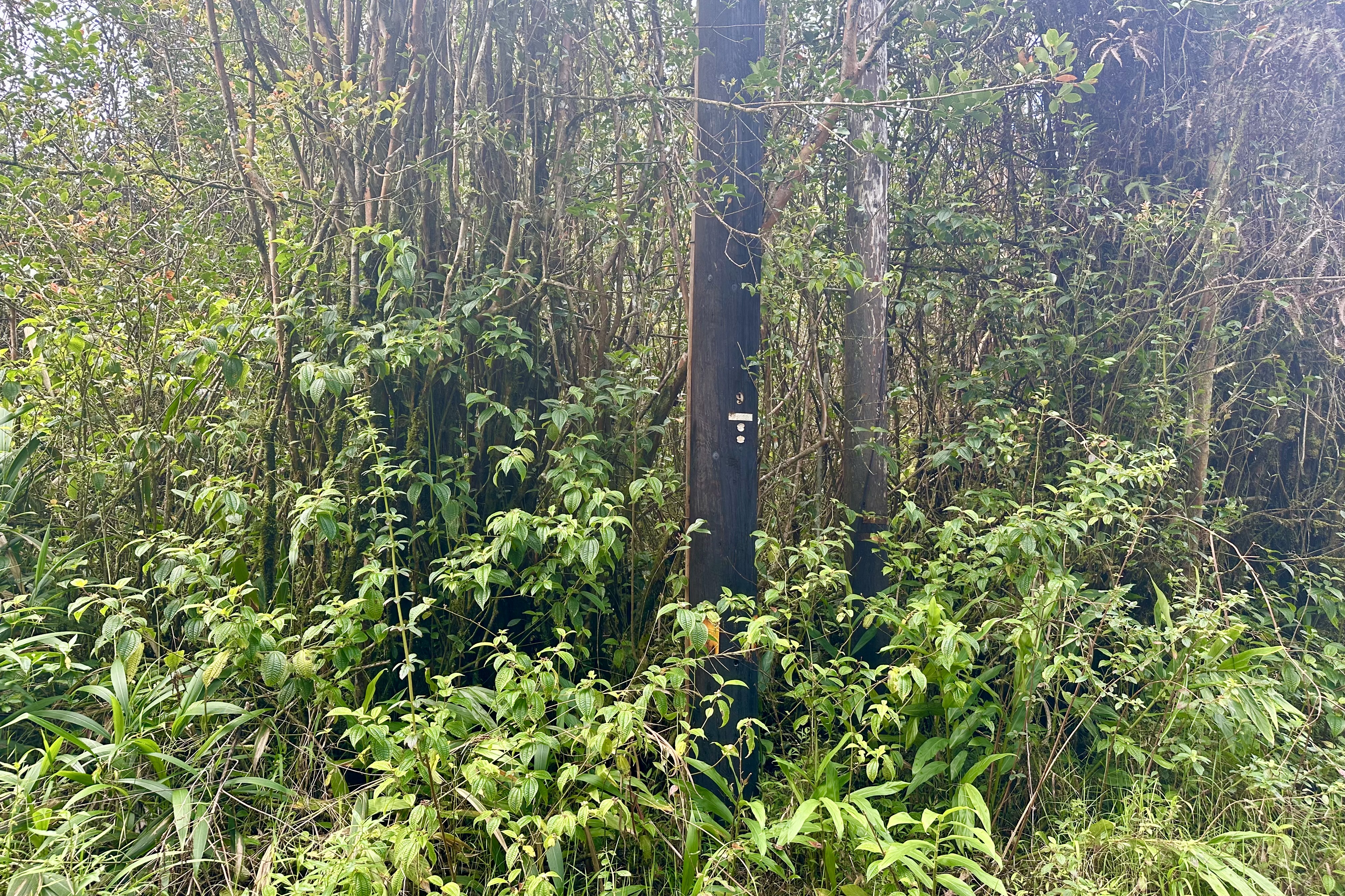 Maunalani Tract Rd Property Photo 5