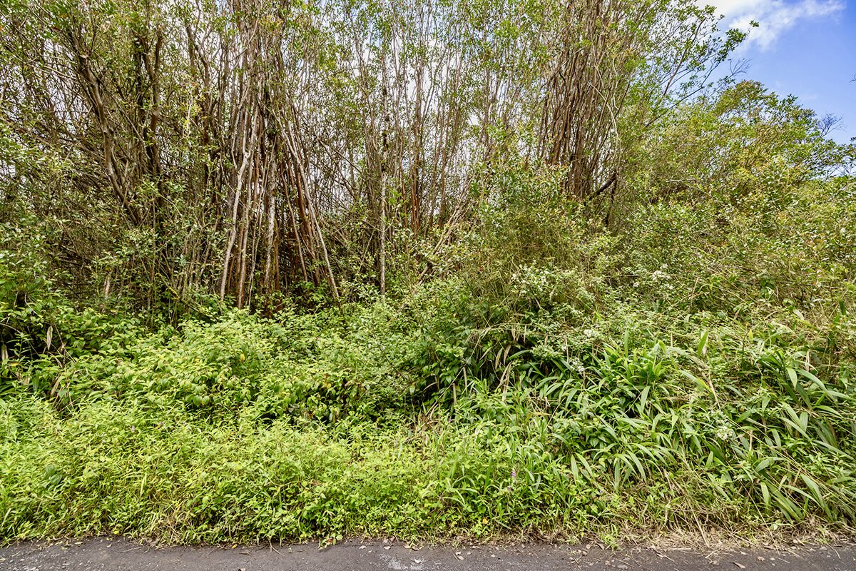 Maunalani Tract Rd Property Photo 6