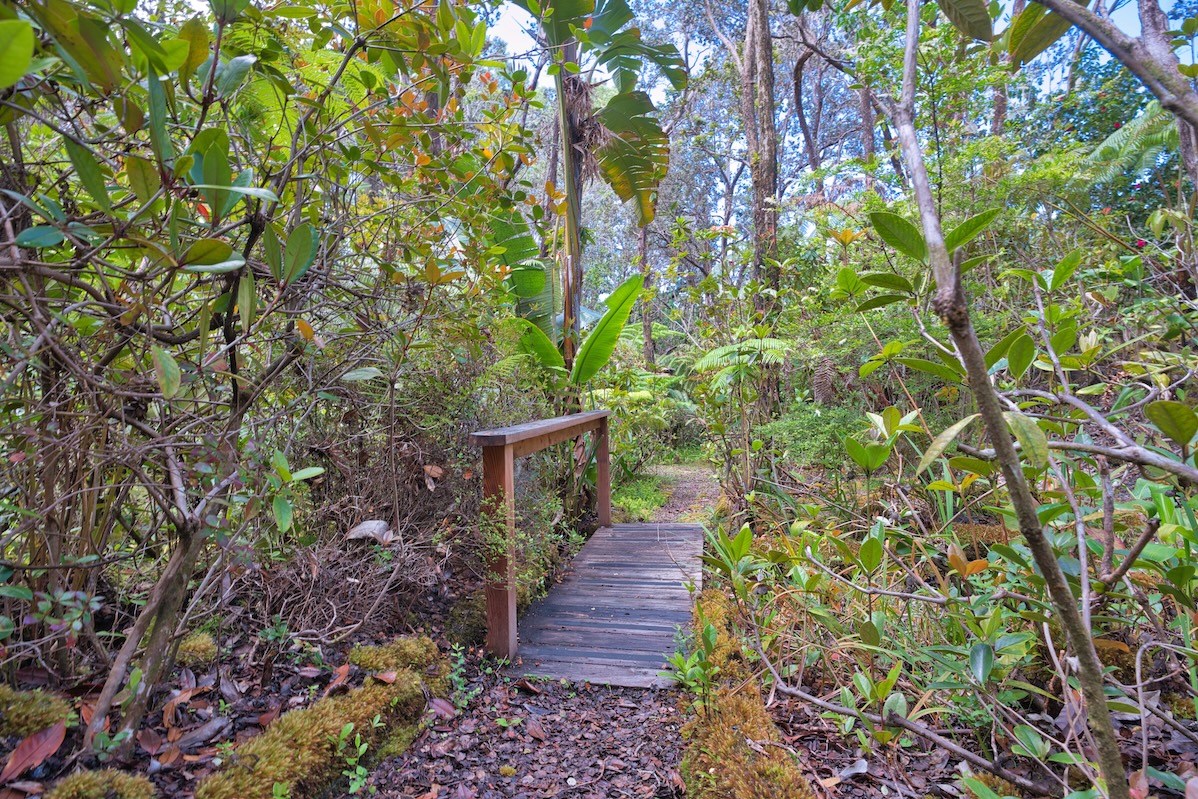 19-4153 Alanui Iiwi Property Photo 21