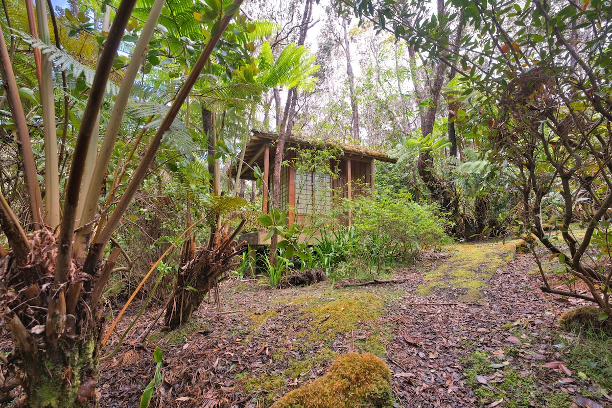 19-4153 Alanui Iiwi Property Photo 25