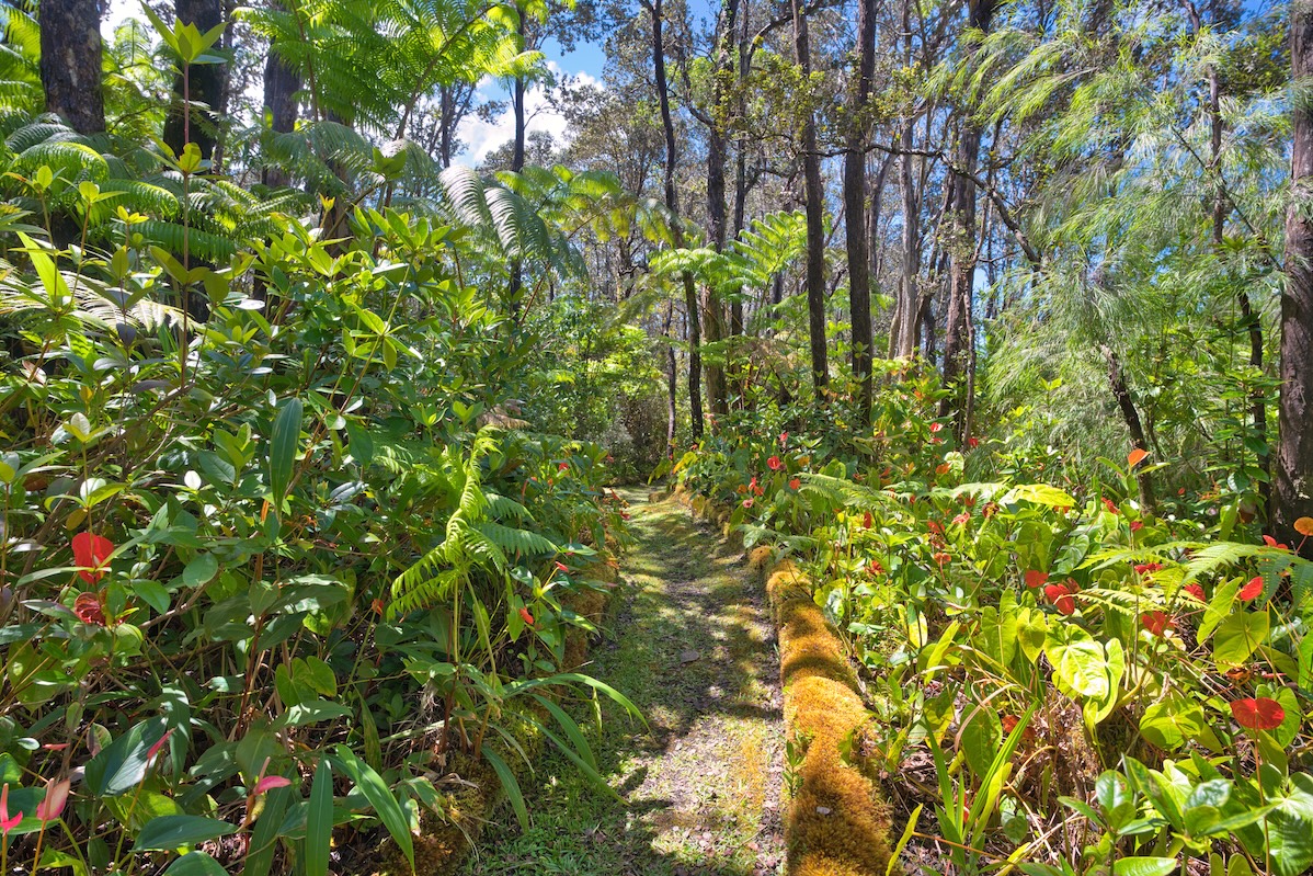 19-4153 Alanui Iiwi Property Photo 26
