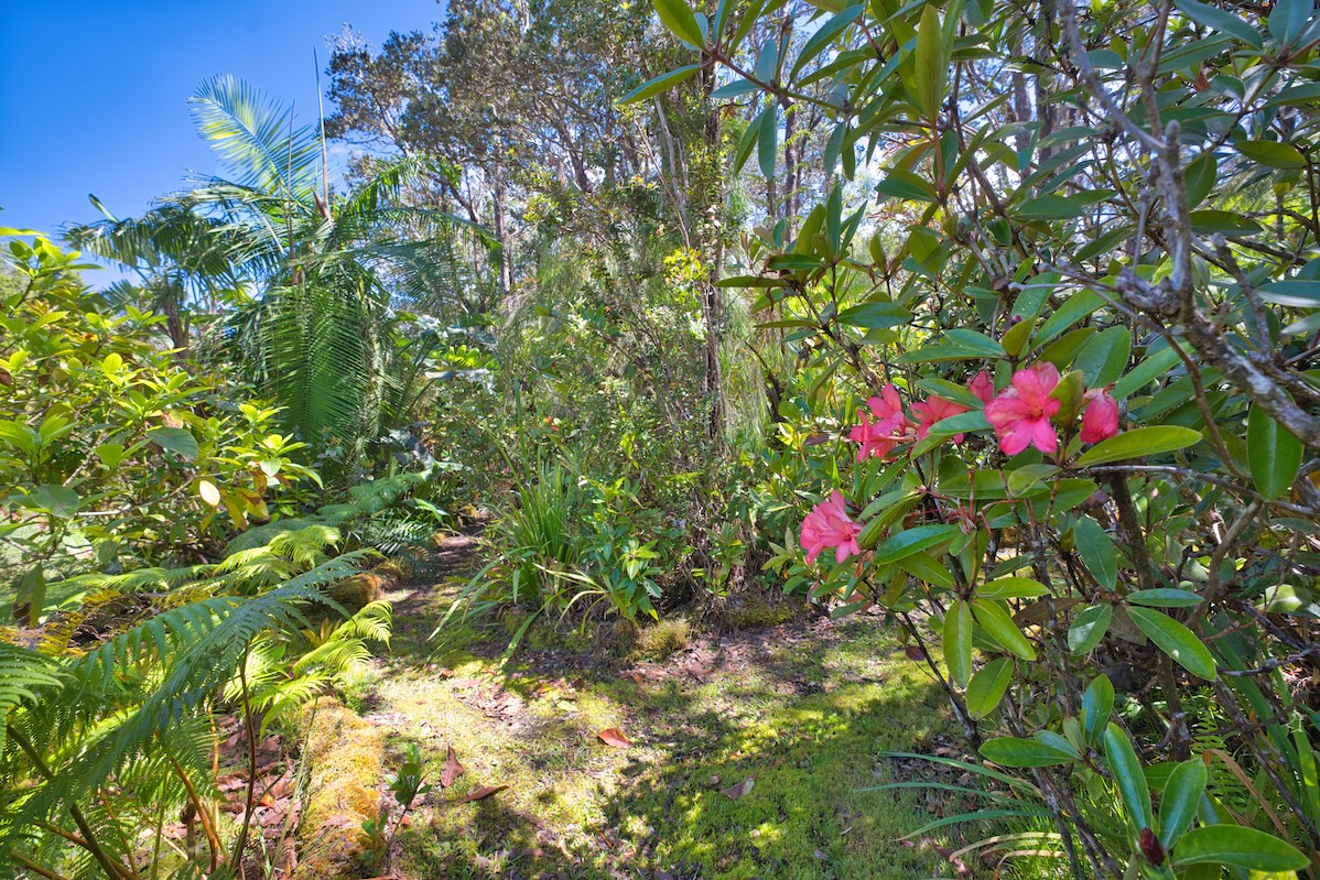 19-4153 Alanui Iiwi Property Photo 27
