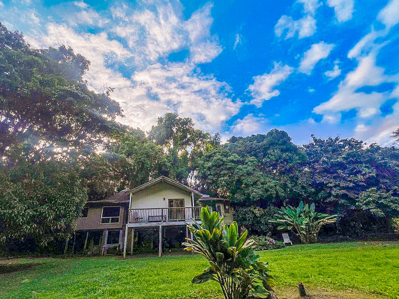 5-6671 Kuhio Hwy Property Photo 3