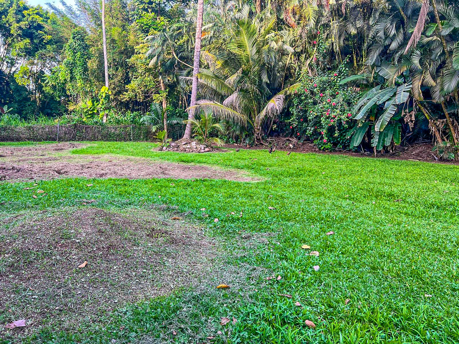 5-6671 Kuhio Hwy Property Photo 11