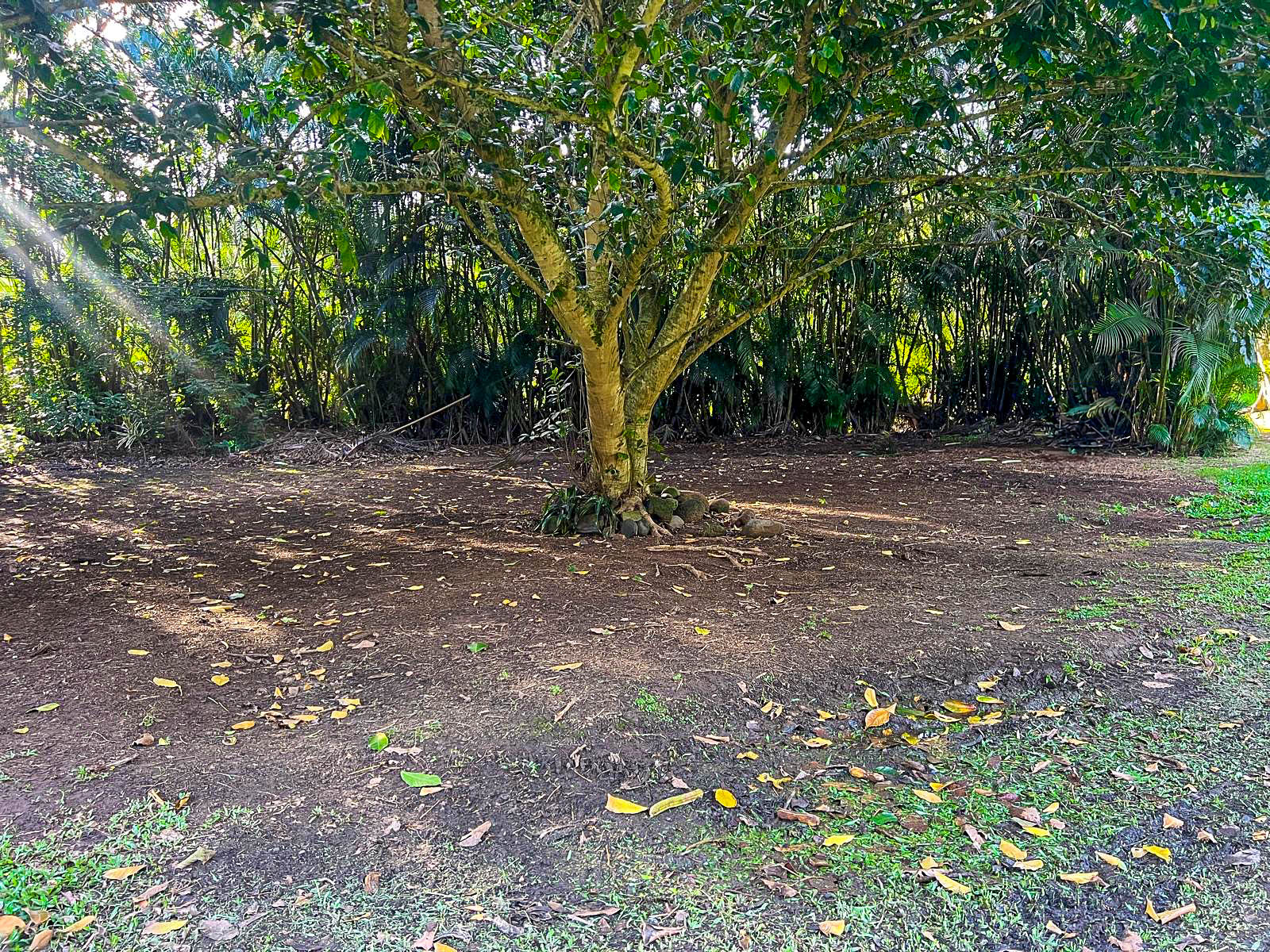 5-6671 Kuhio Hwy Property Photo 14