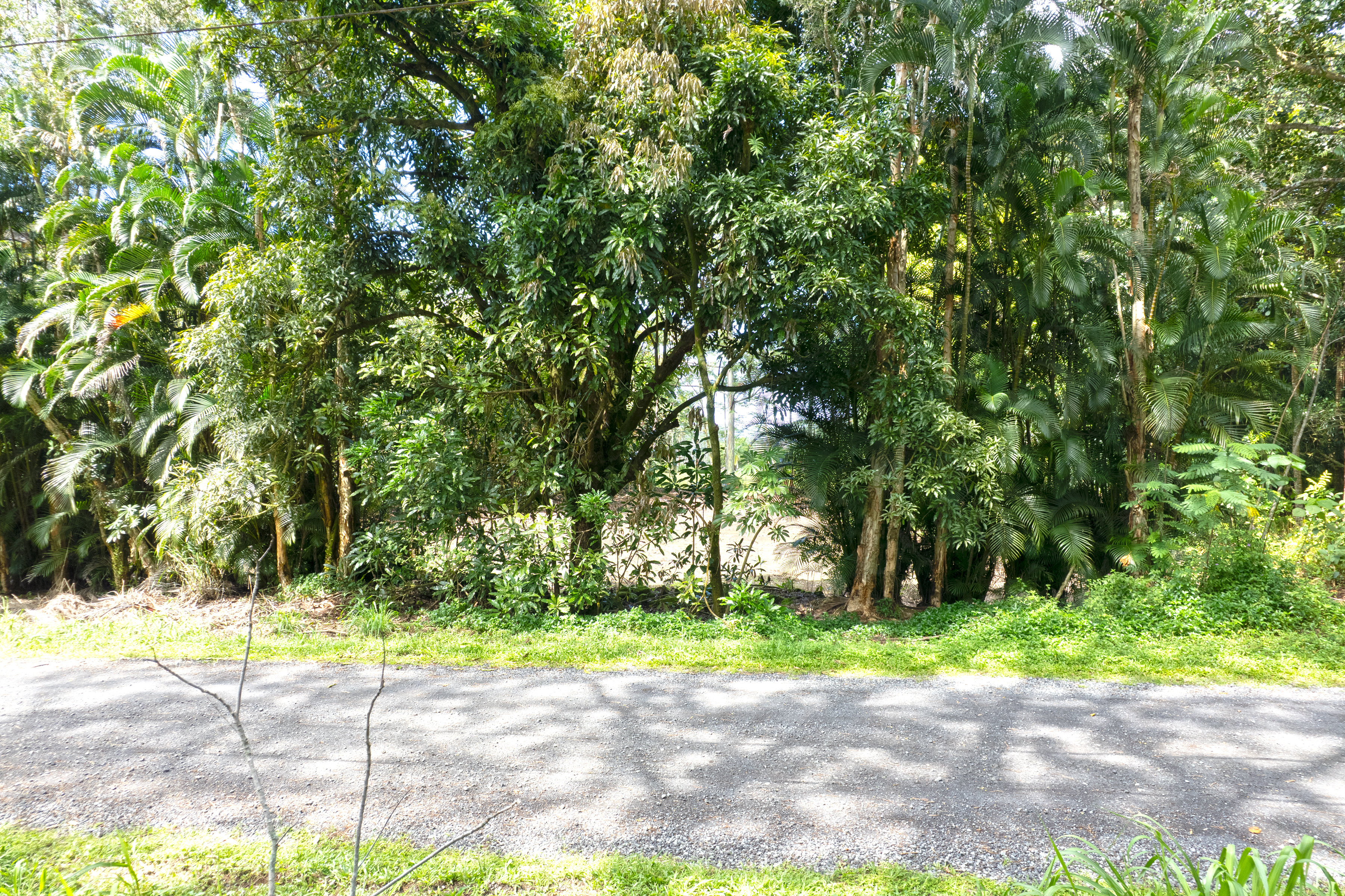 11th Ave Property Photo 3
