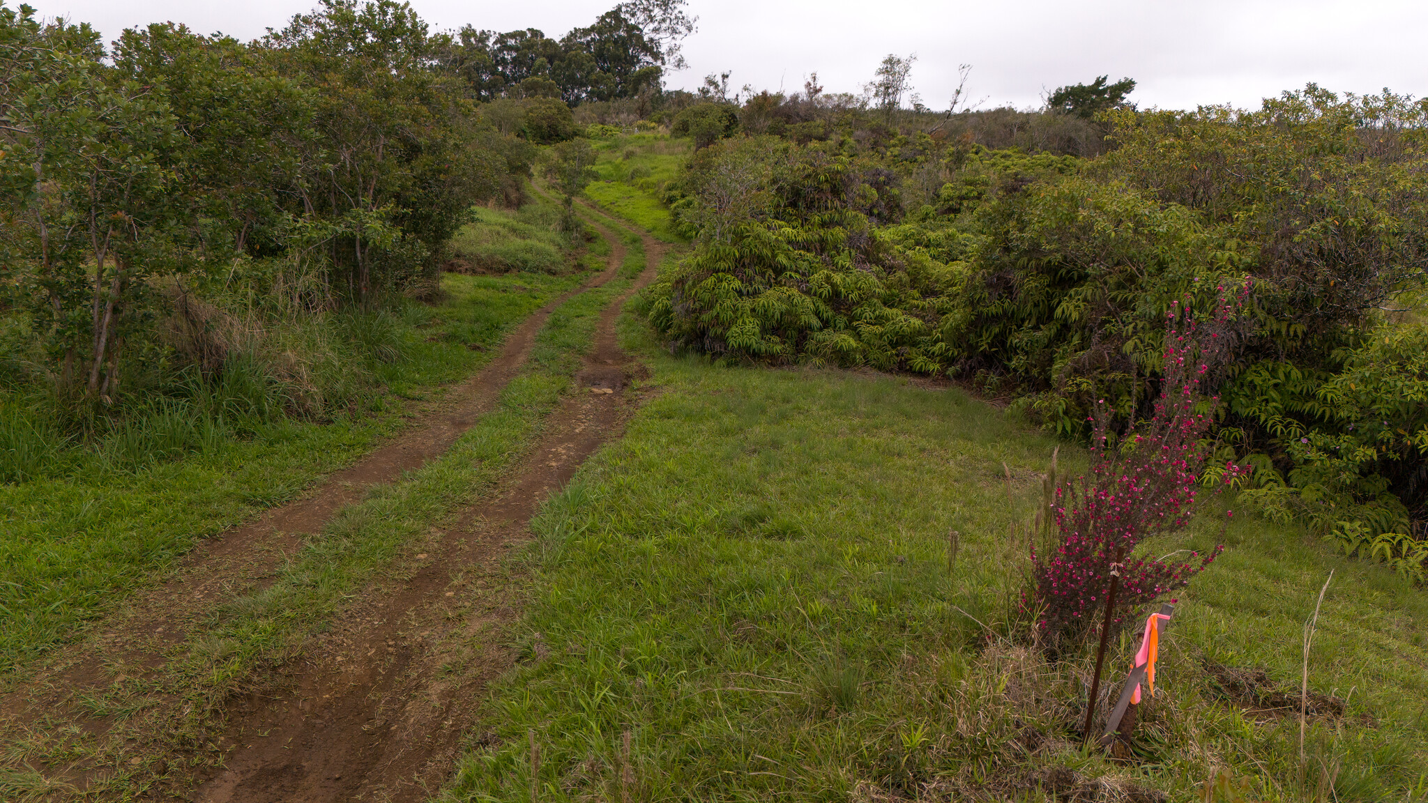 32-1175 Aina Wai Rd Property Photo 8