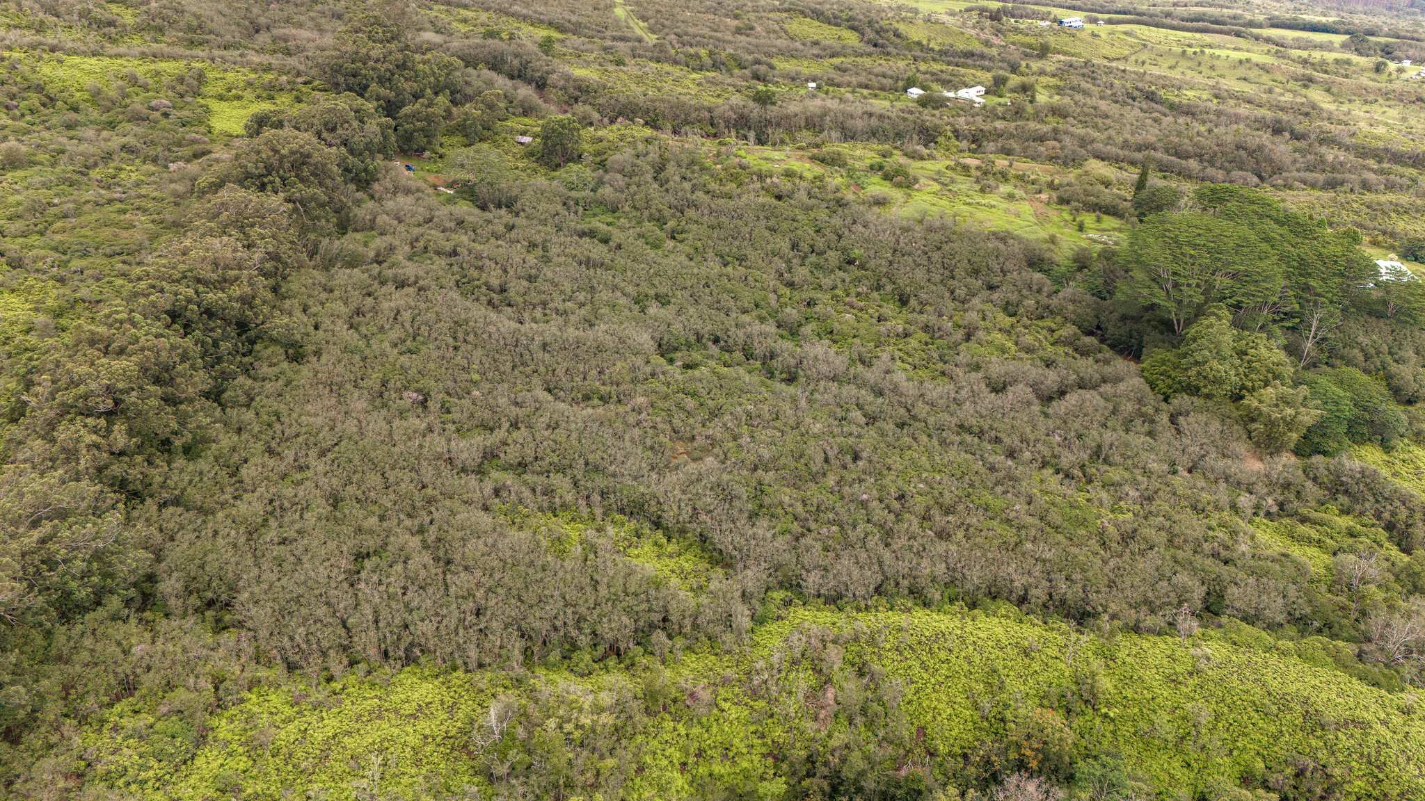 32-1175 Aina Wai Rd Property Photo 10