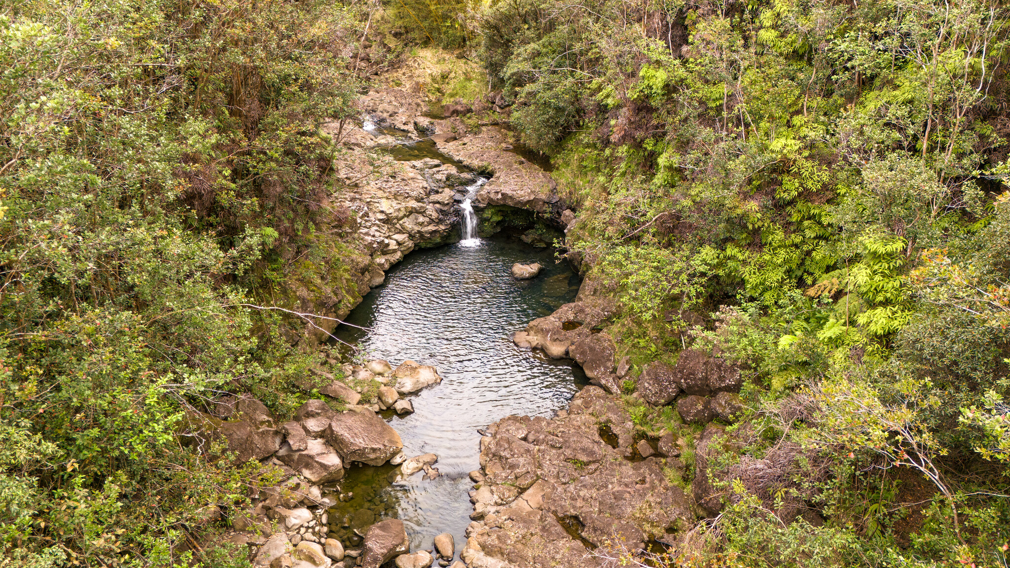 32-1175 Aina Wai Rd Property Photo 15
