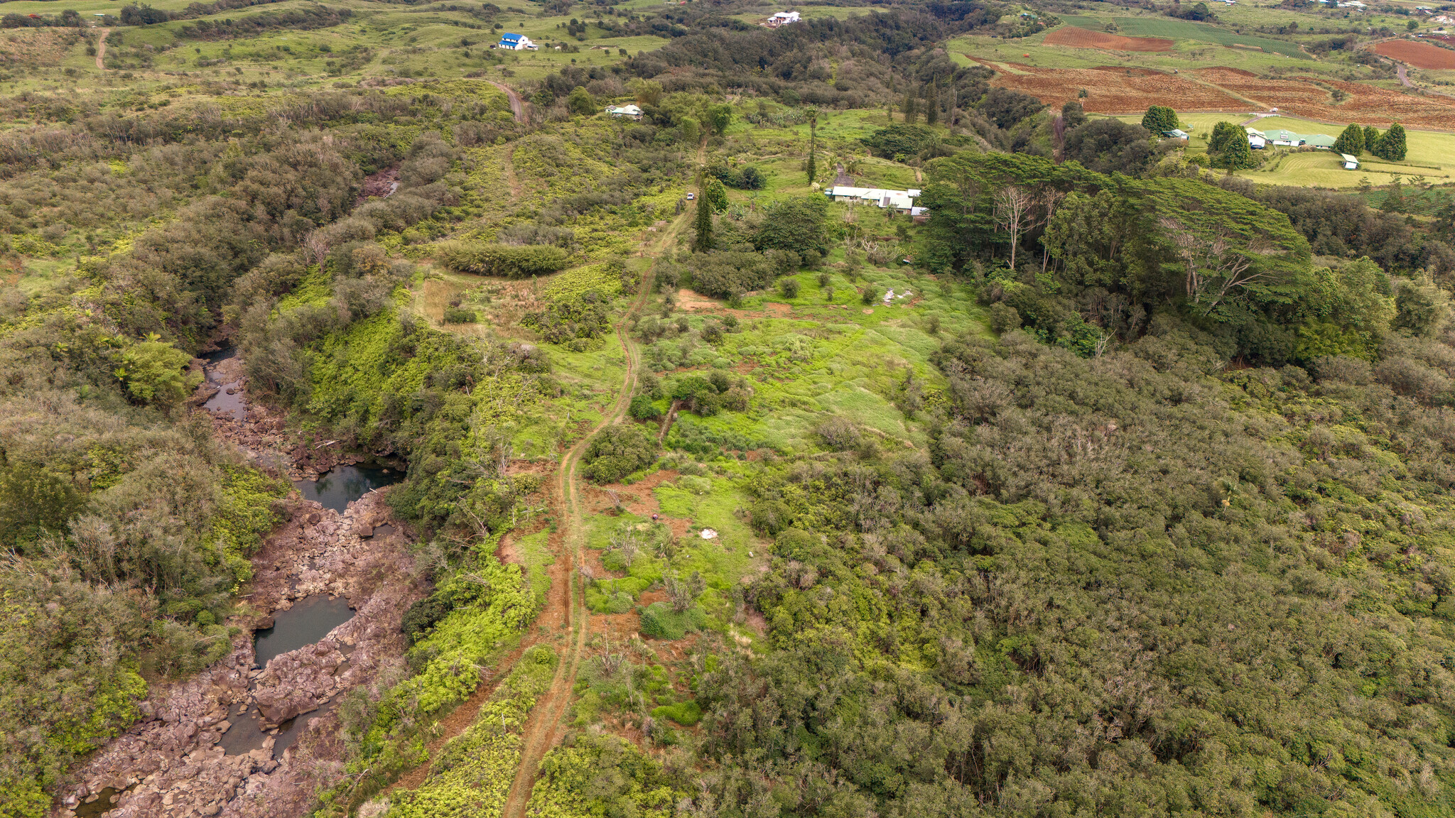 32-1175 Aina Wai Rd Property Photo 18