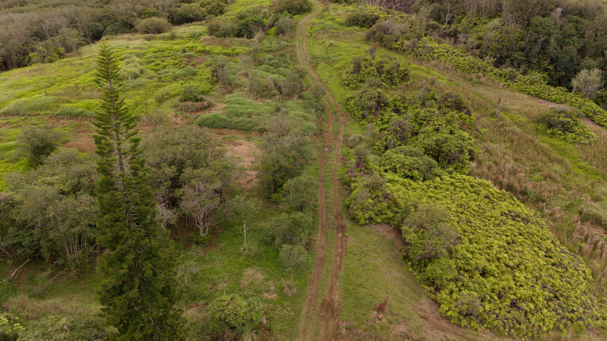 32-1175 Aina Wai Rd Property Photo 20