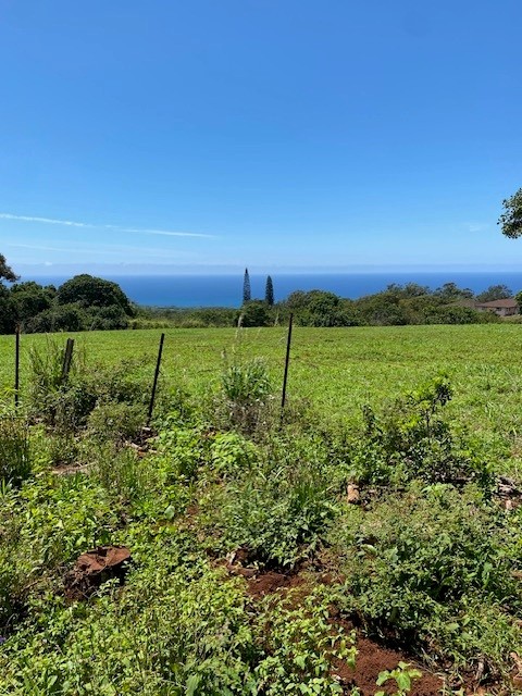 3961 Papalina Rd Property Photo 1