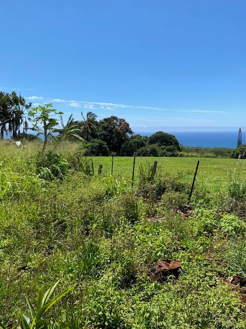 3961 Papalina Rd Property Photo 17