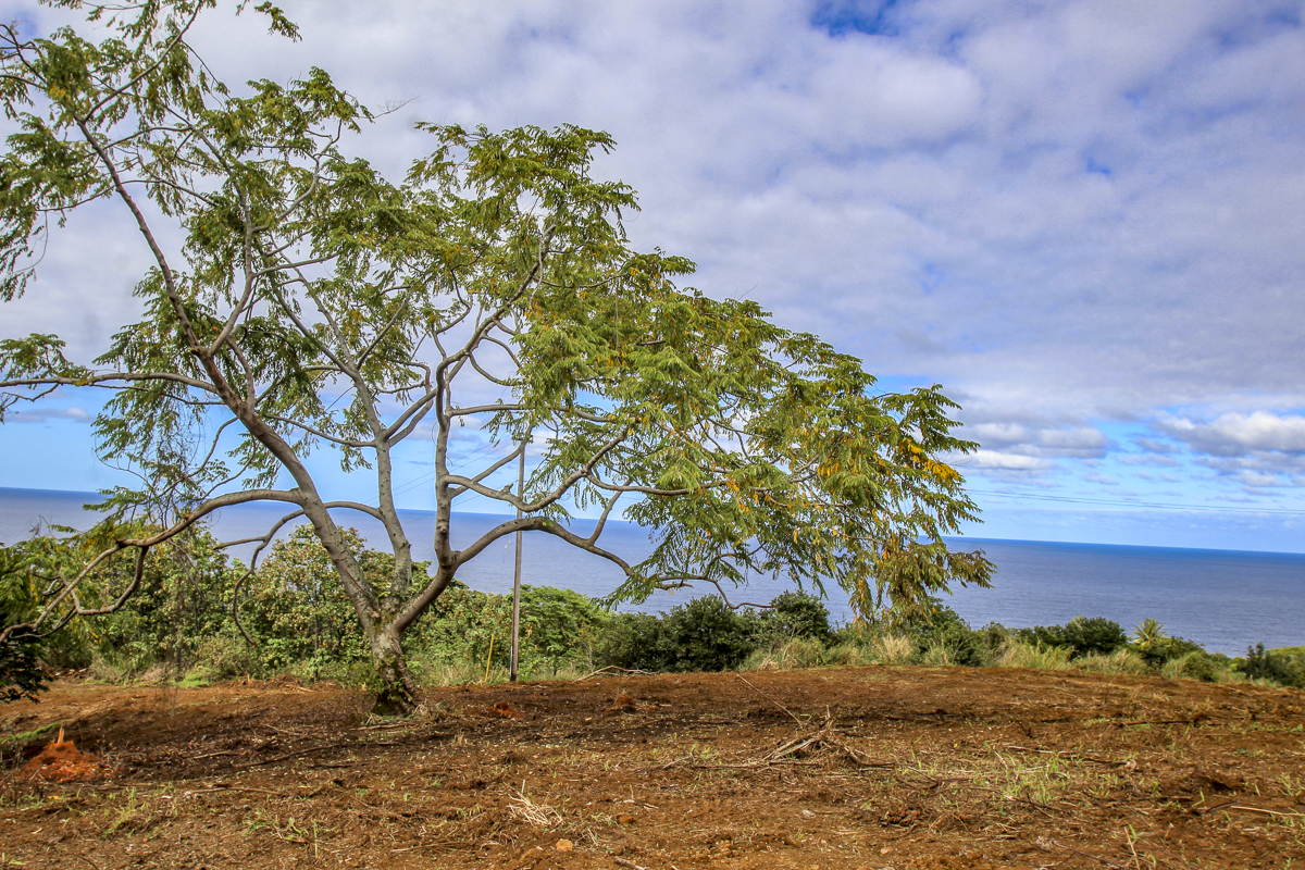 32-360 Kapena Rd Property Photo 17
