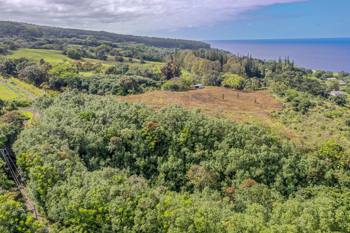 32-360 Kapena Rd Property Photo 21