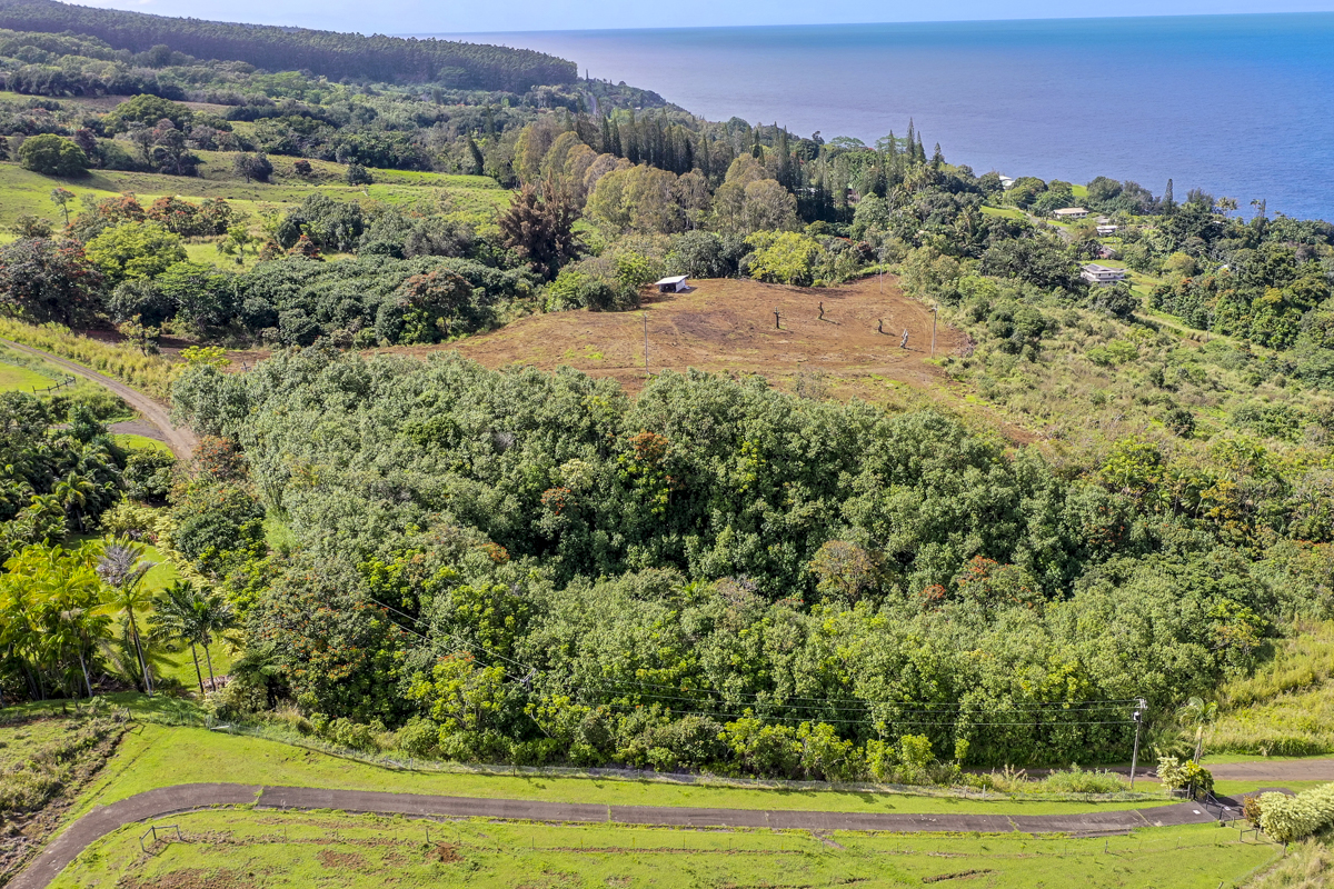 32-360 Kapena Rd Property Photo 22