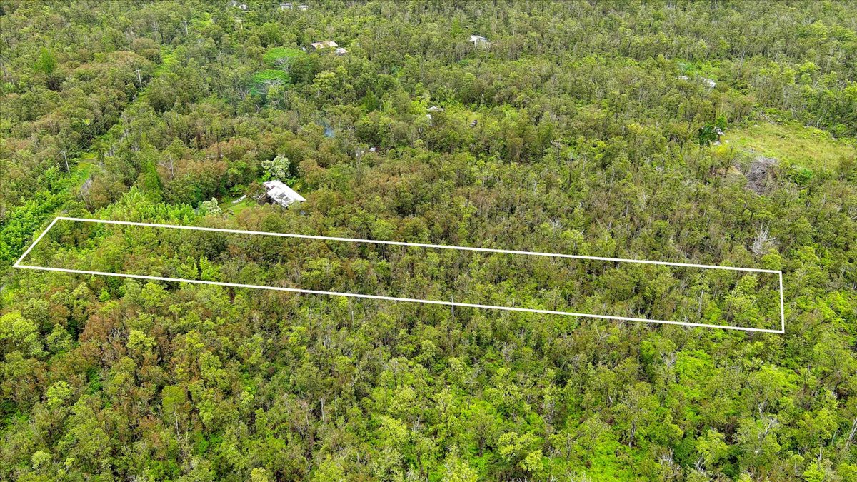 Jungle King Ave Property Photo 1