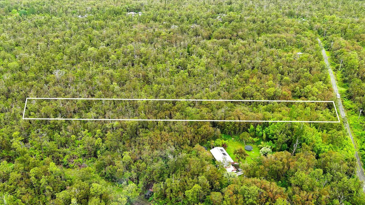 Jungle King Ave Property Photo 3