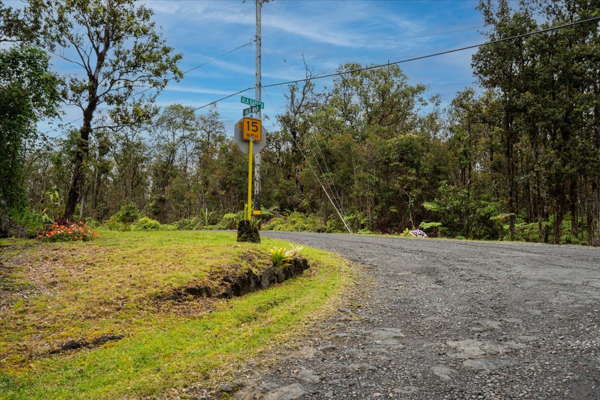 Jungle King Ave Property Photo 4