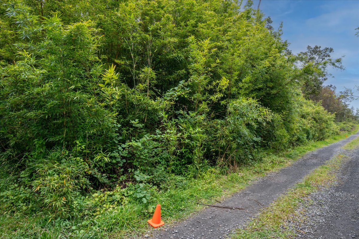 Jungle King Ave Property Photo 8