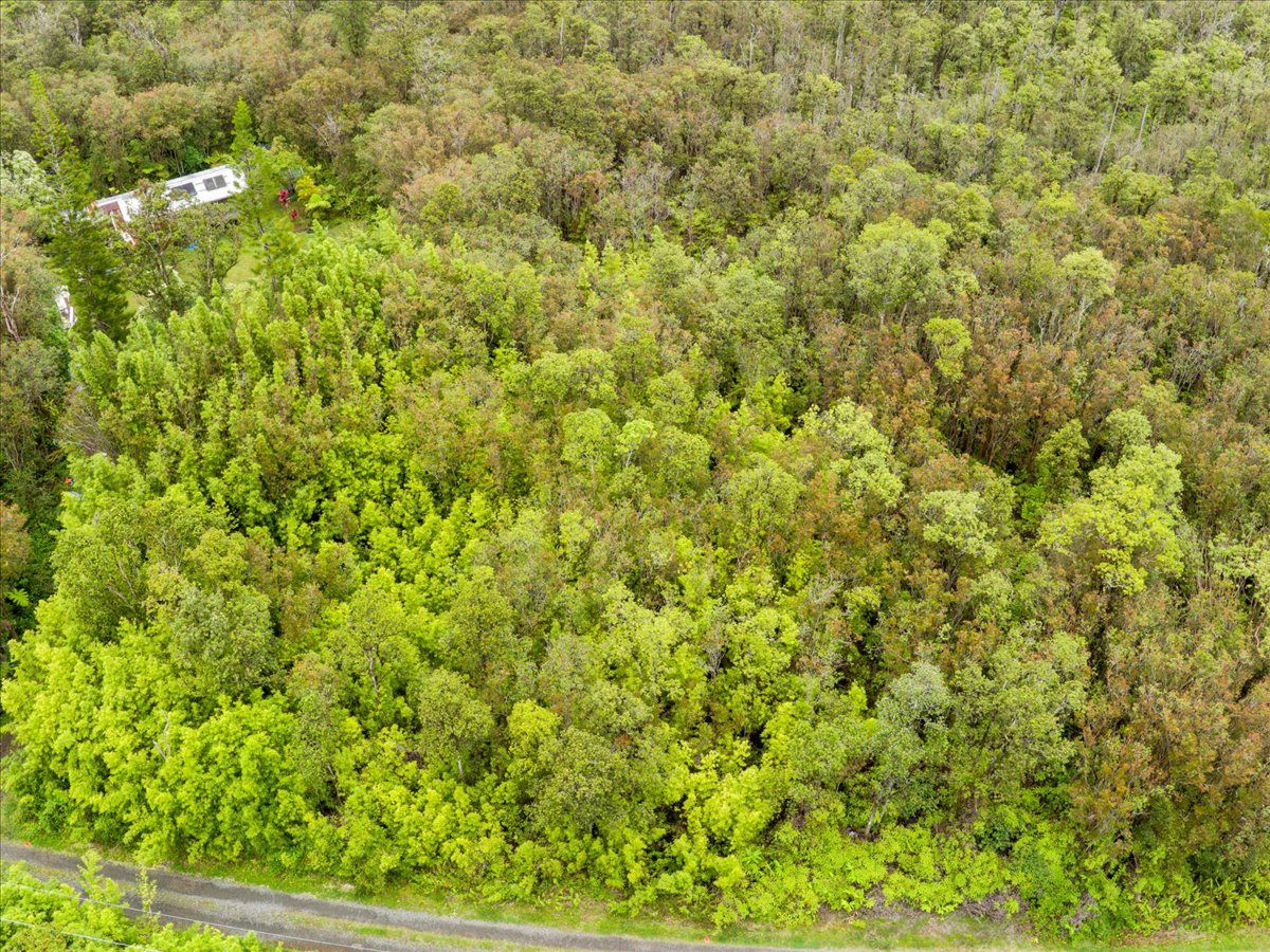 Jungle King Ave Property Photo 12