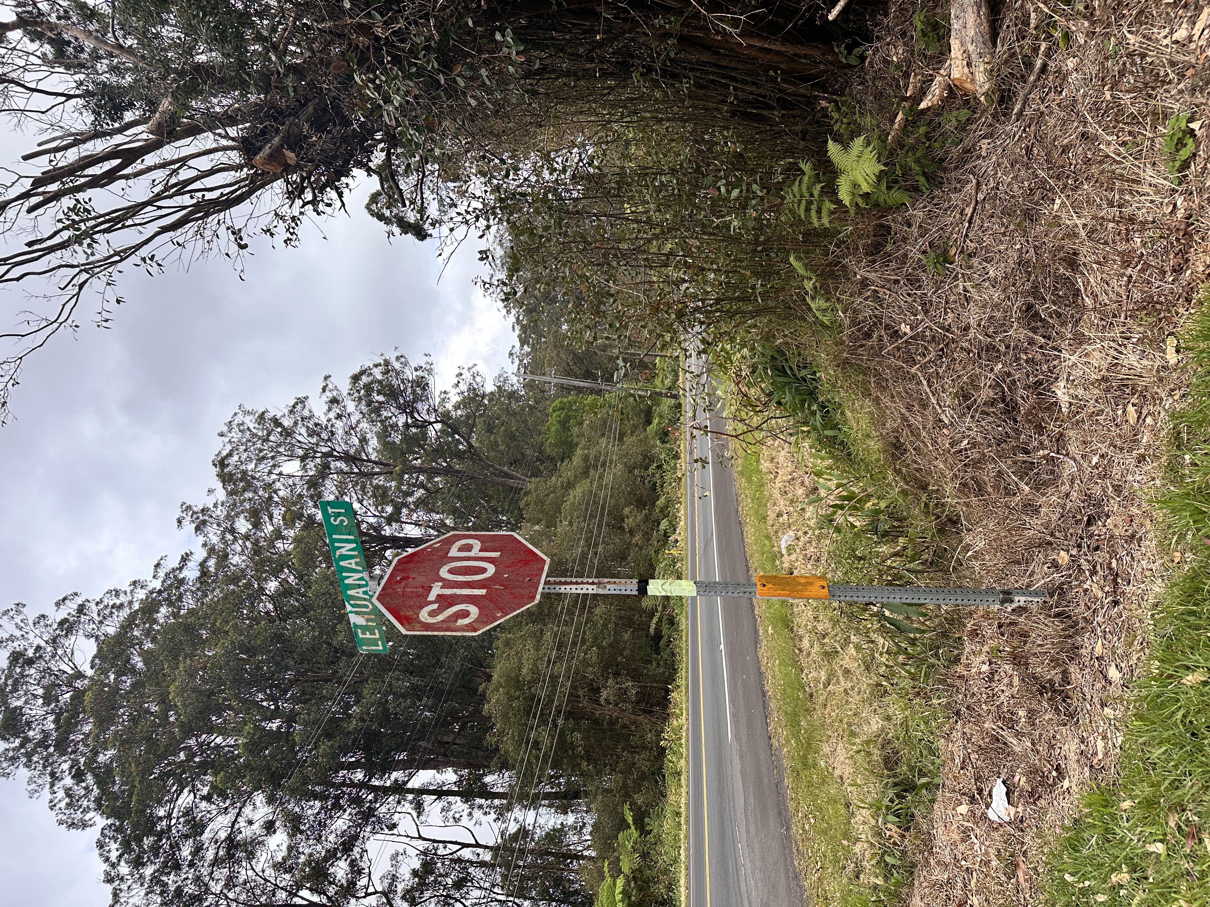 Road 5 Property Photo 2