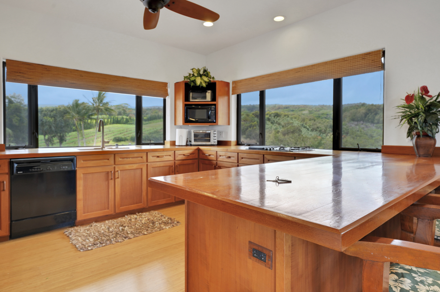 52-4602 Akoni Pule Hwy D Property Photo 27